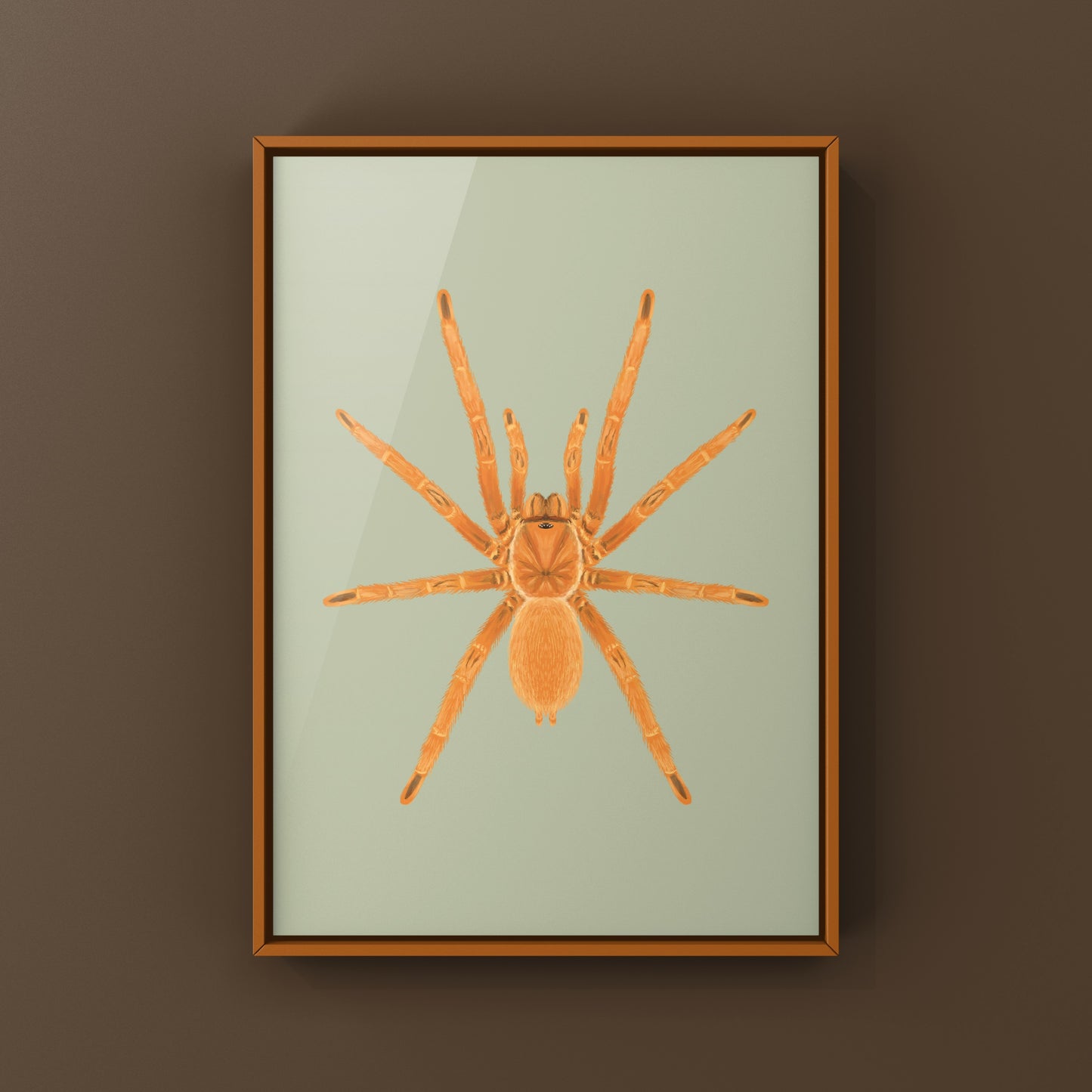 Philippine Tangerine Tarantula Art Print (Selenobrachys philippinus)