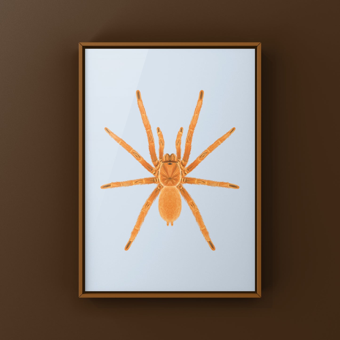 Philippine Tangerine Tarantula Art Print (Selenobrachys philippinus)