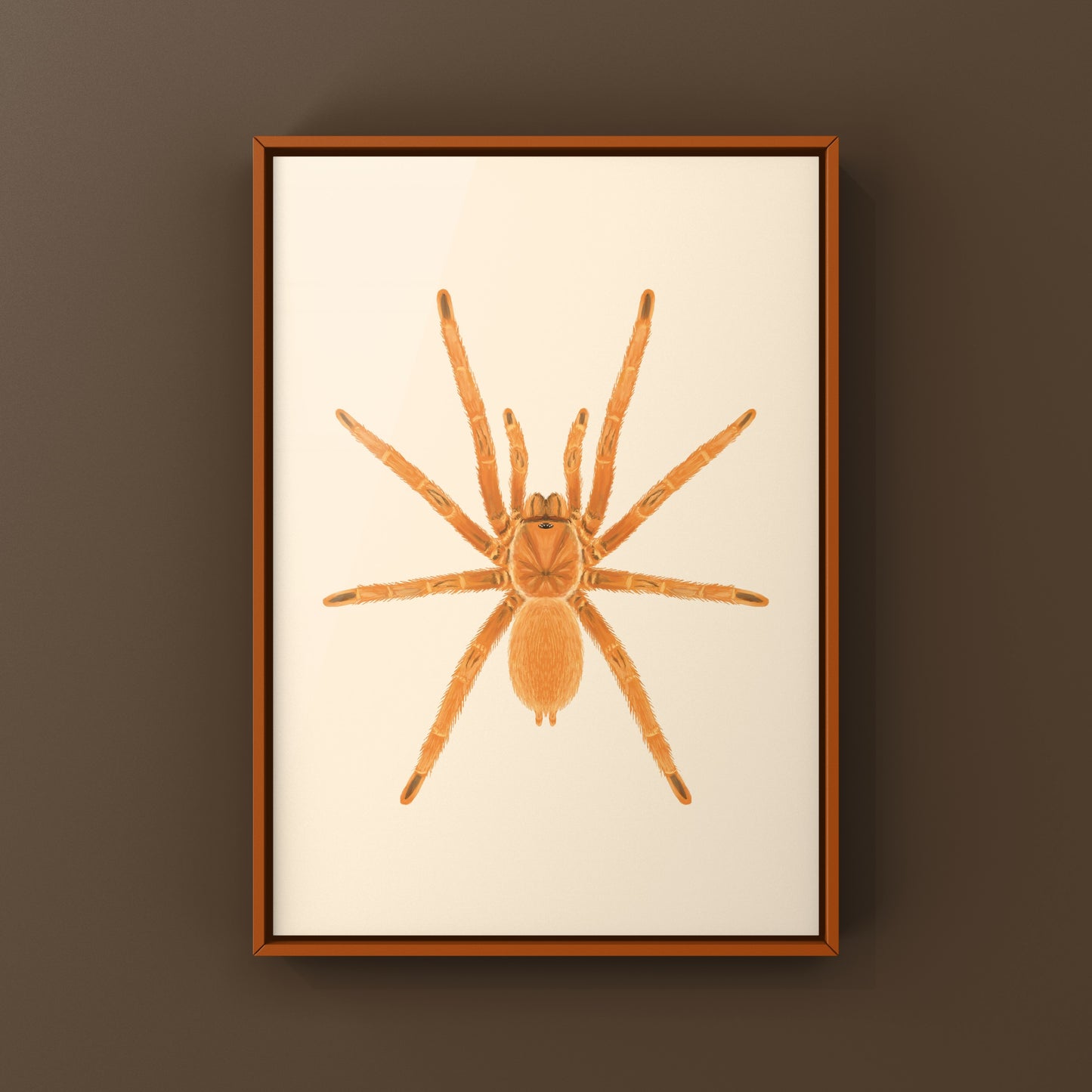 Philippine Tangerine Tarantula Art Print (Selenobrachys philippinus)