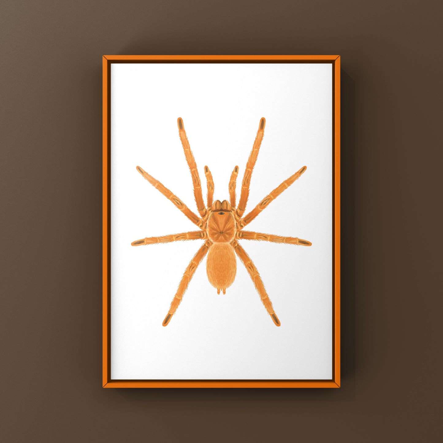 Philippine Tangerine Tarantula Art Print (Selenobrachys philippinus)