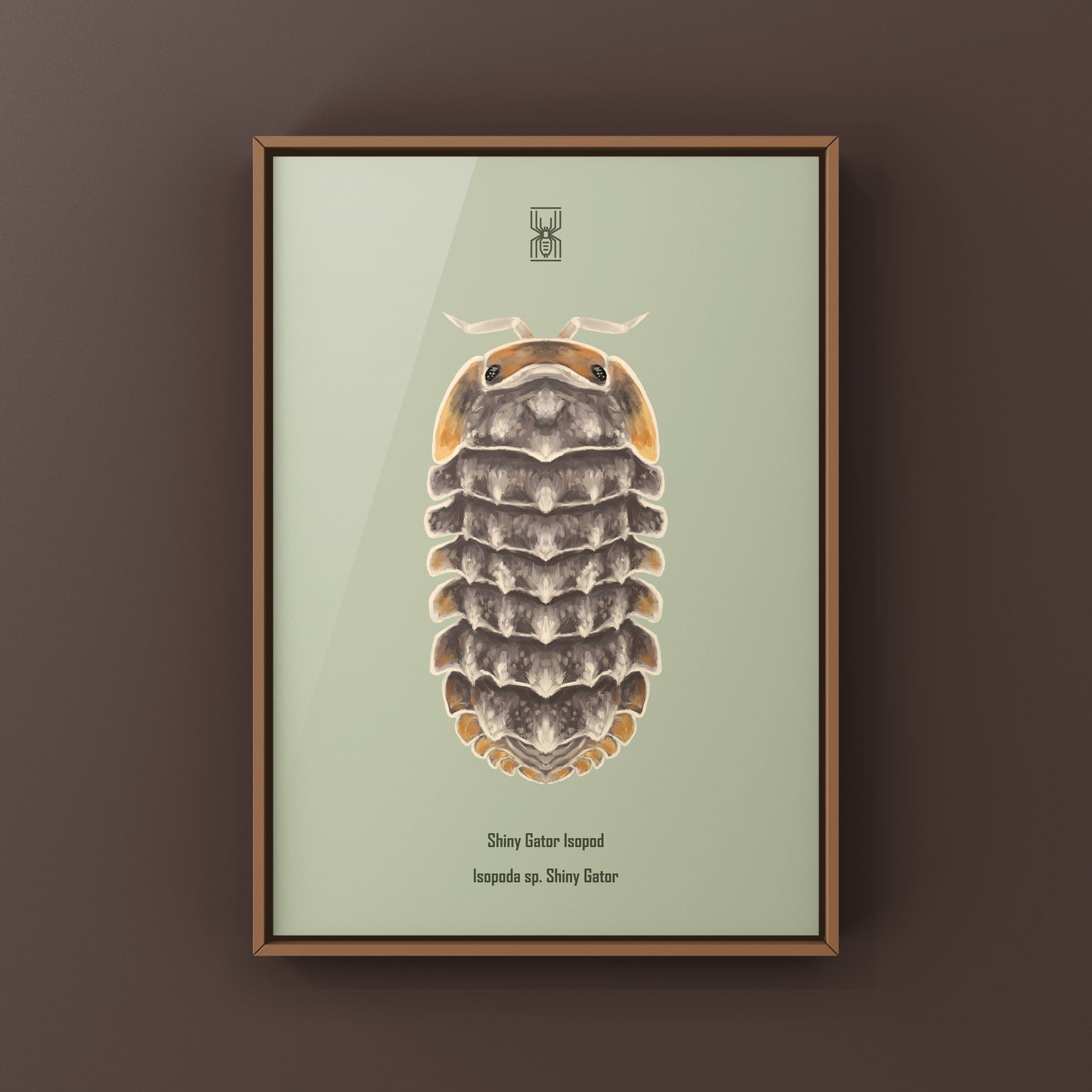 Shiny Gator Isopod Art Print (Isopoda sp. Shiny Gator)