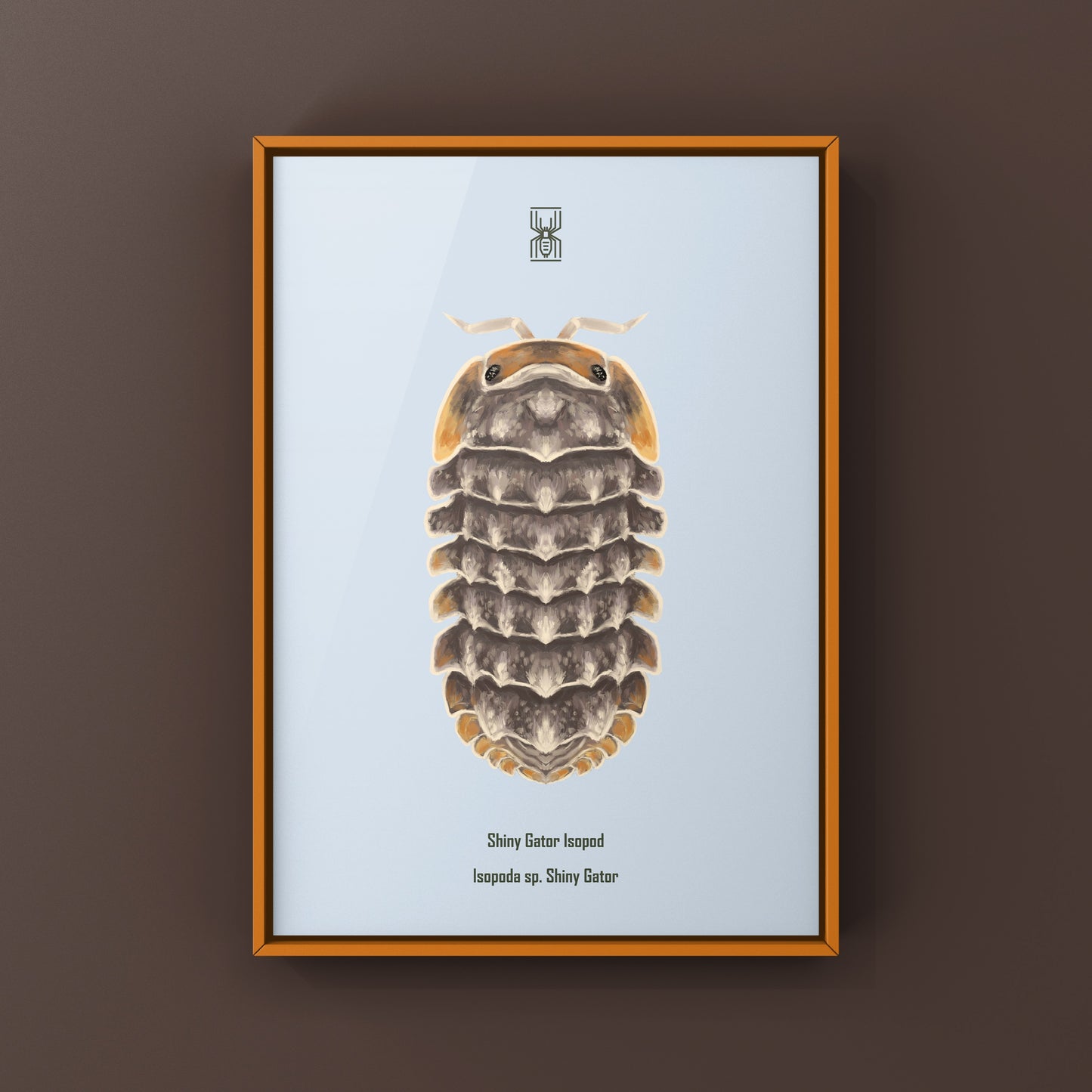 Shiny Gator Isopod Art Print (Isopoda sp. Shiny Gator)