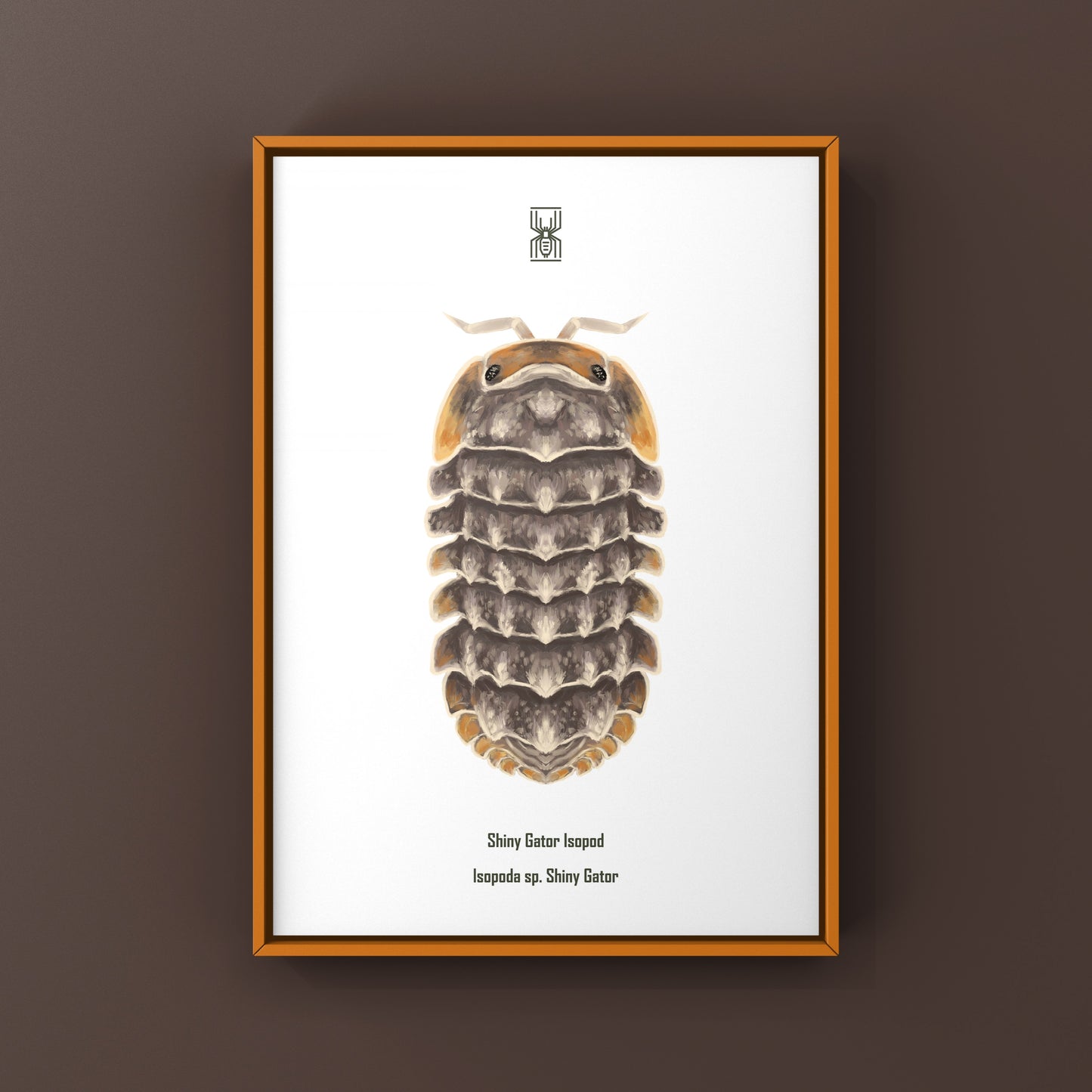 Shiny Gator Isopod Art Print (Isopoda sp. Shiny Gator)