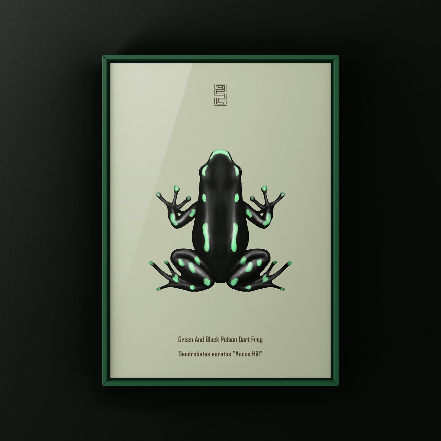 Ancon Hill Green And Black Poison Dart Frog Art Print (Dendrobates auratus)