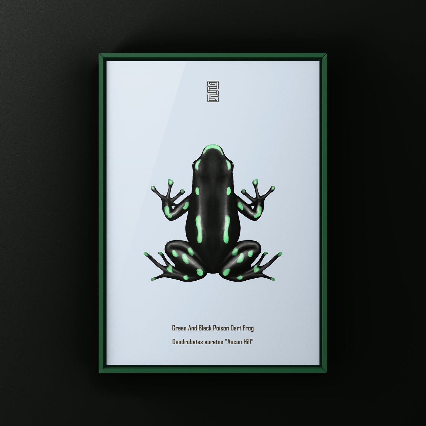 Ancon Hill Green And Black Poison Dart Frog Art Print (Dendrobates auratus)