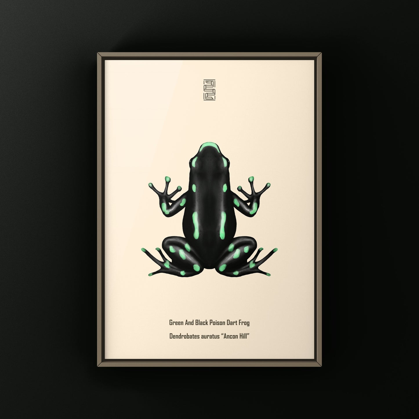 Ancon Hill Green And Black Poison Dart Frog Art Print (Dendrobates auratus)