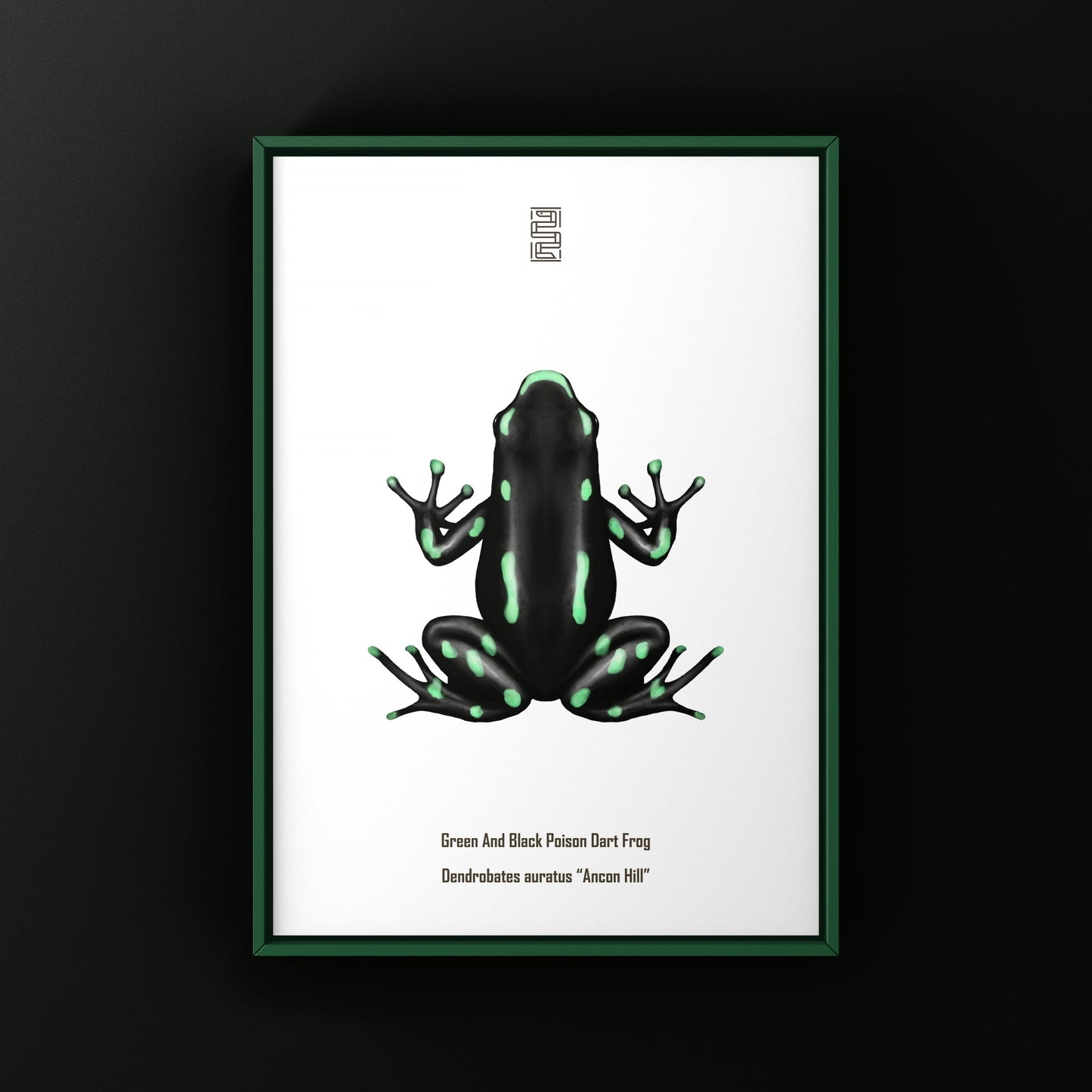 Ancon Hill Green And Black Poison Dart Frog Art Print (Dendrobates auratus)
