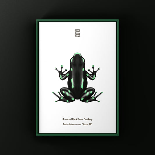 Ancon Hill Green And Black Poison Dart Frog Art Print (Dendrobates auratus)