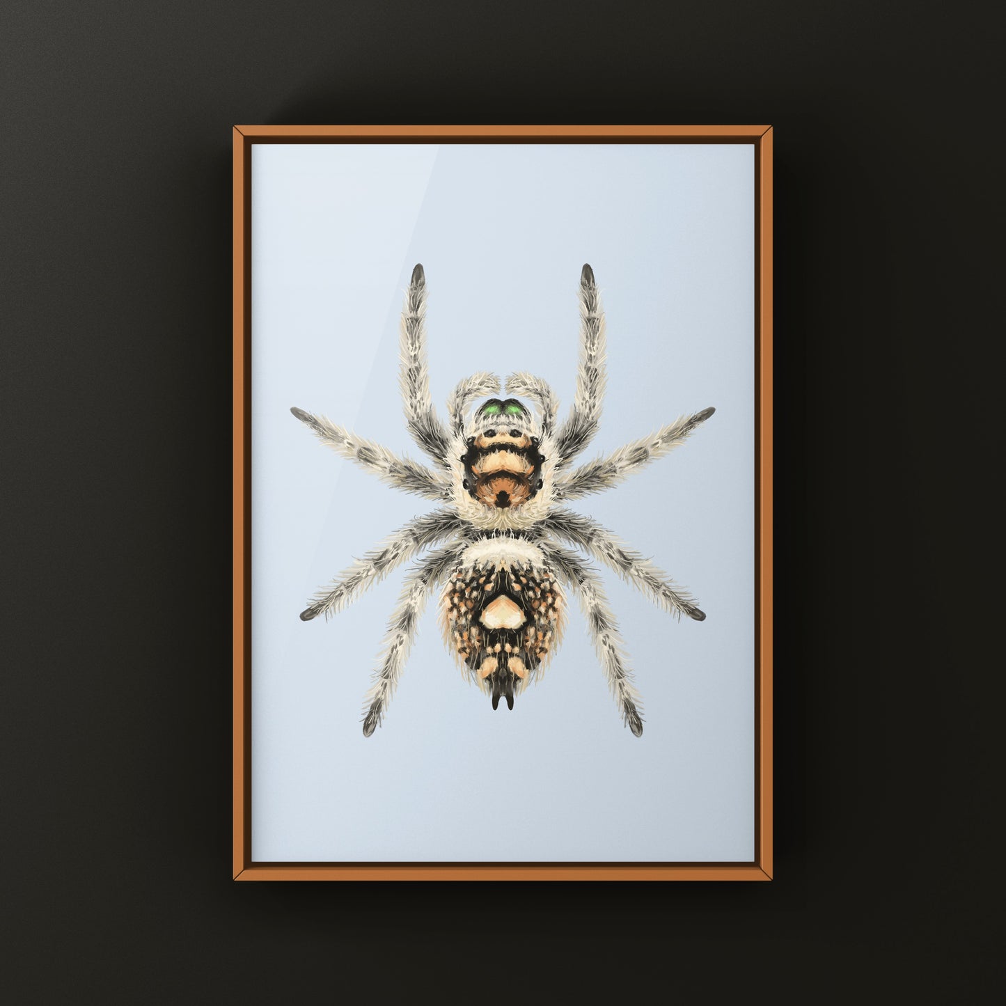 Canopy Jumping Spider Art Print (Phidippus otiosus)