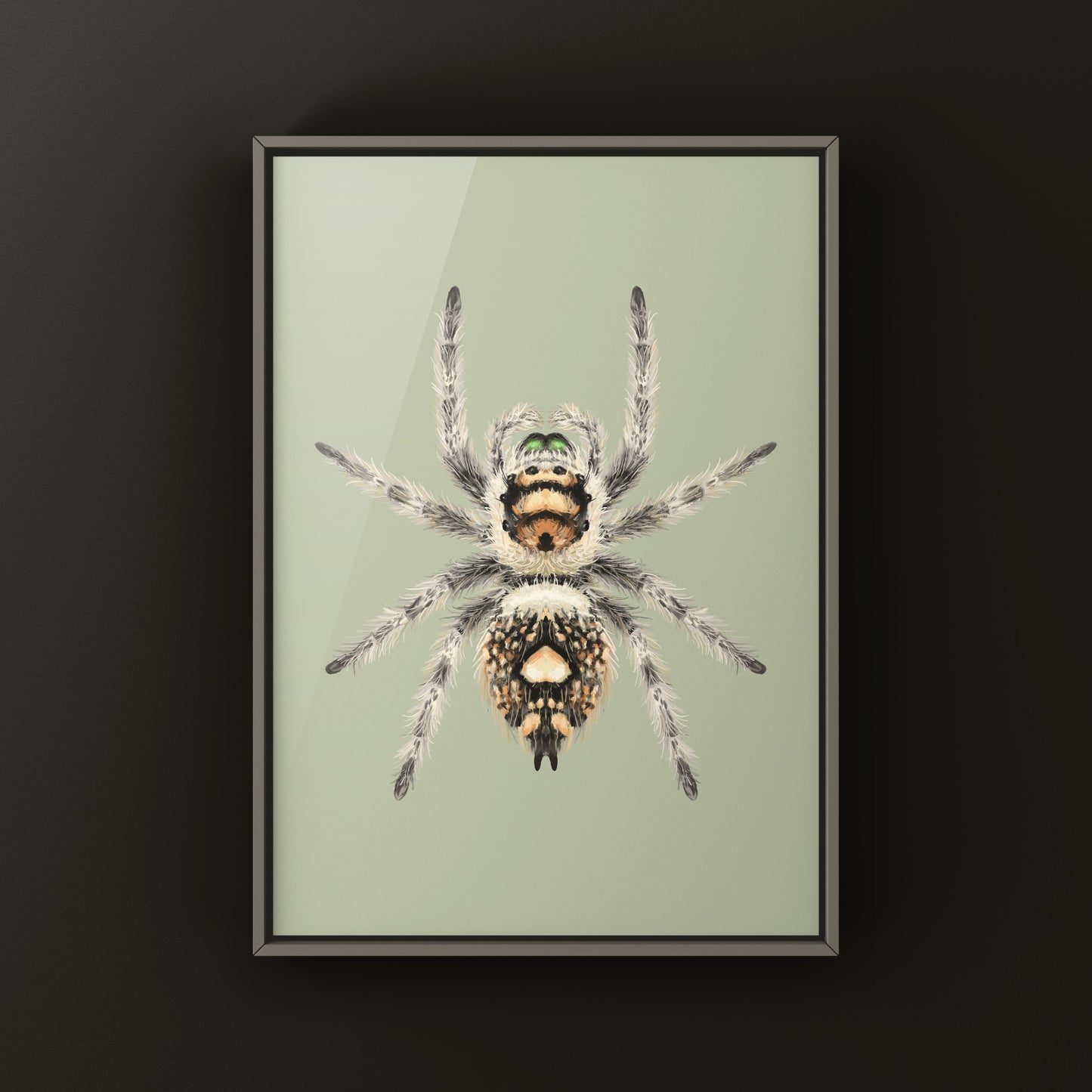 Canopy Jumping Spider Art Print (Phidippus otiosus)