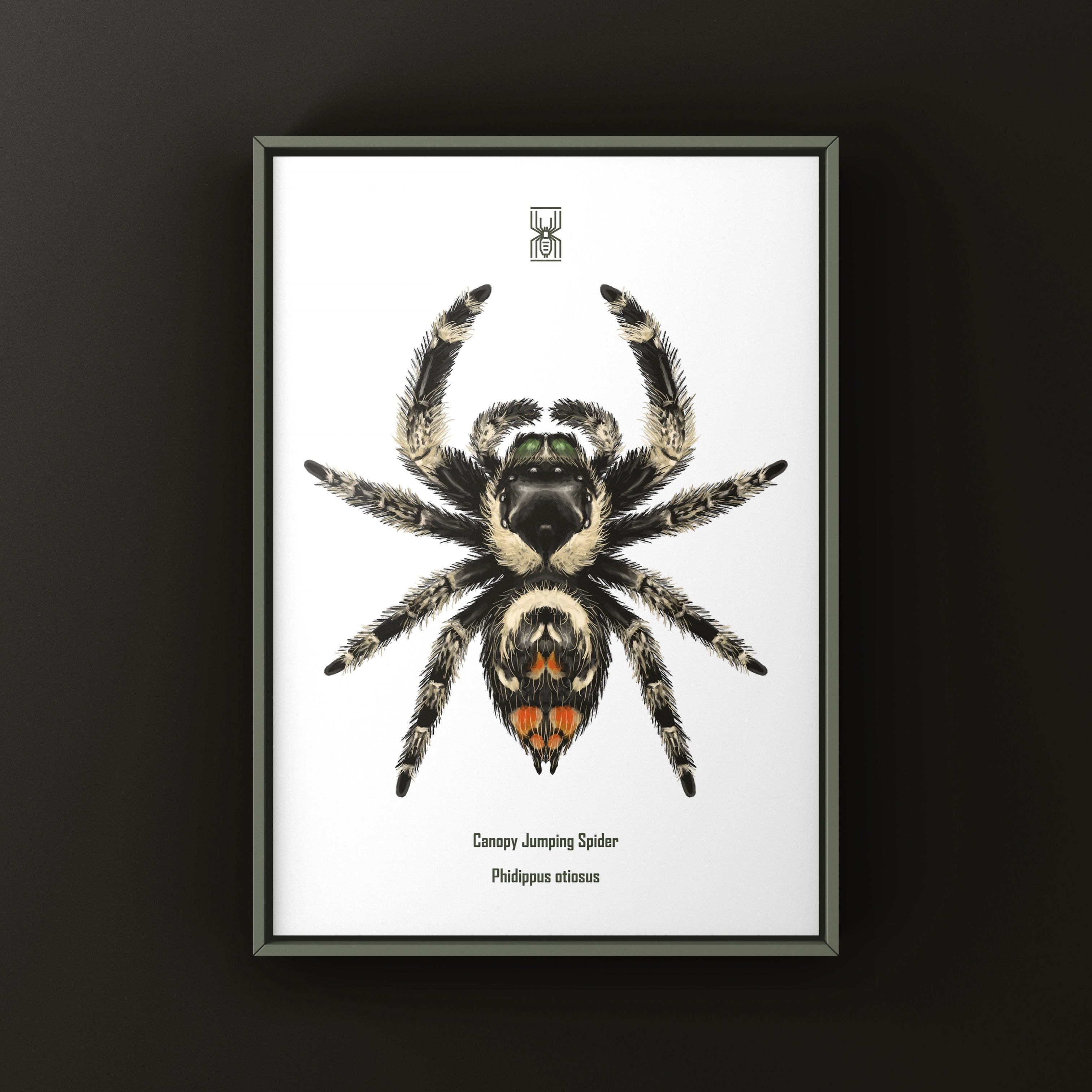 Mediterranean Velvet Spider Art Print (Eresus walckenaeri) | The
