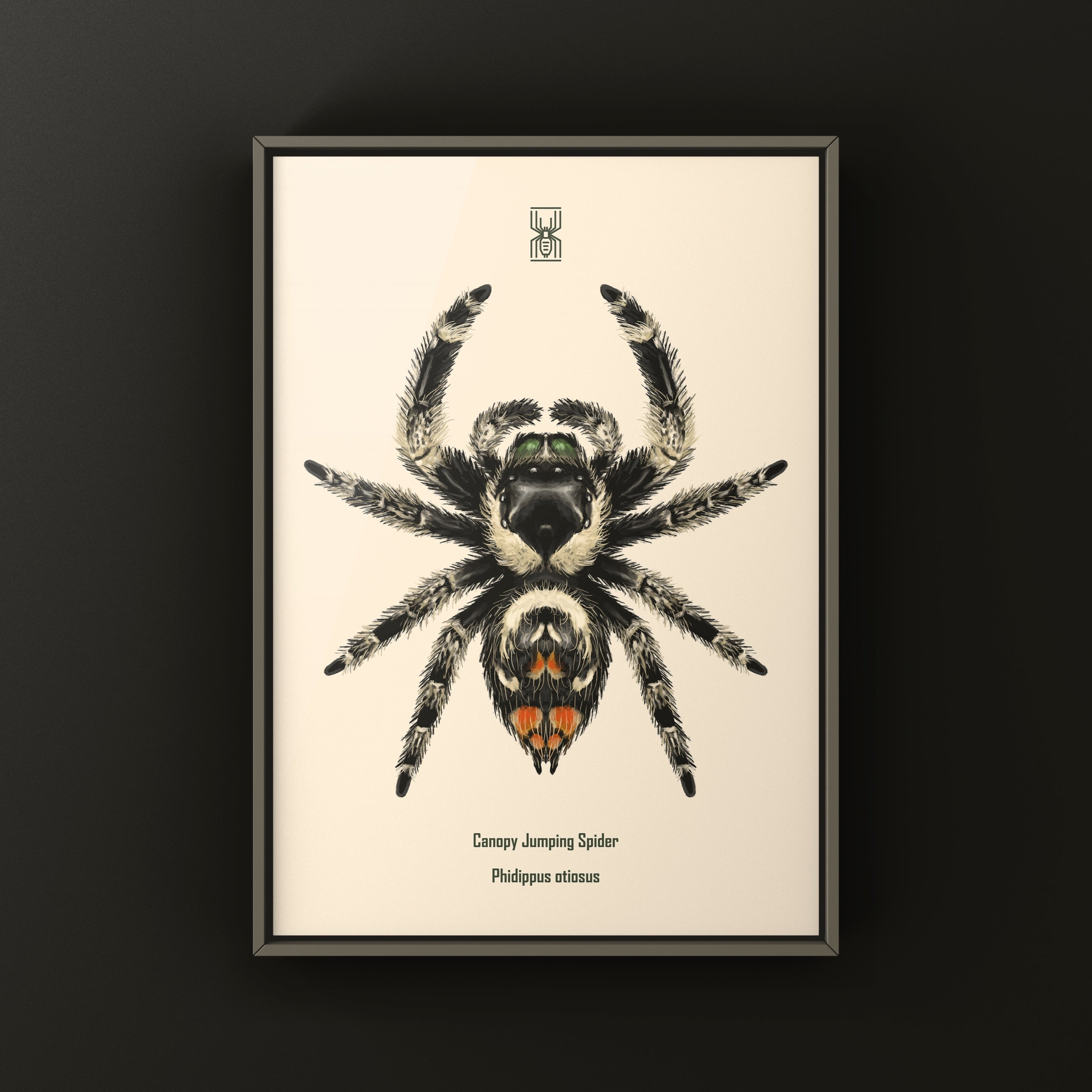 Mediterranean Velvet Spider Art Print (Eresus walckenaeri) | The