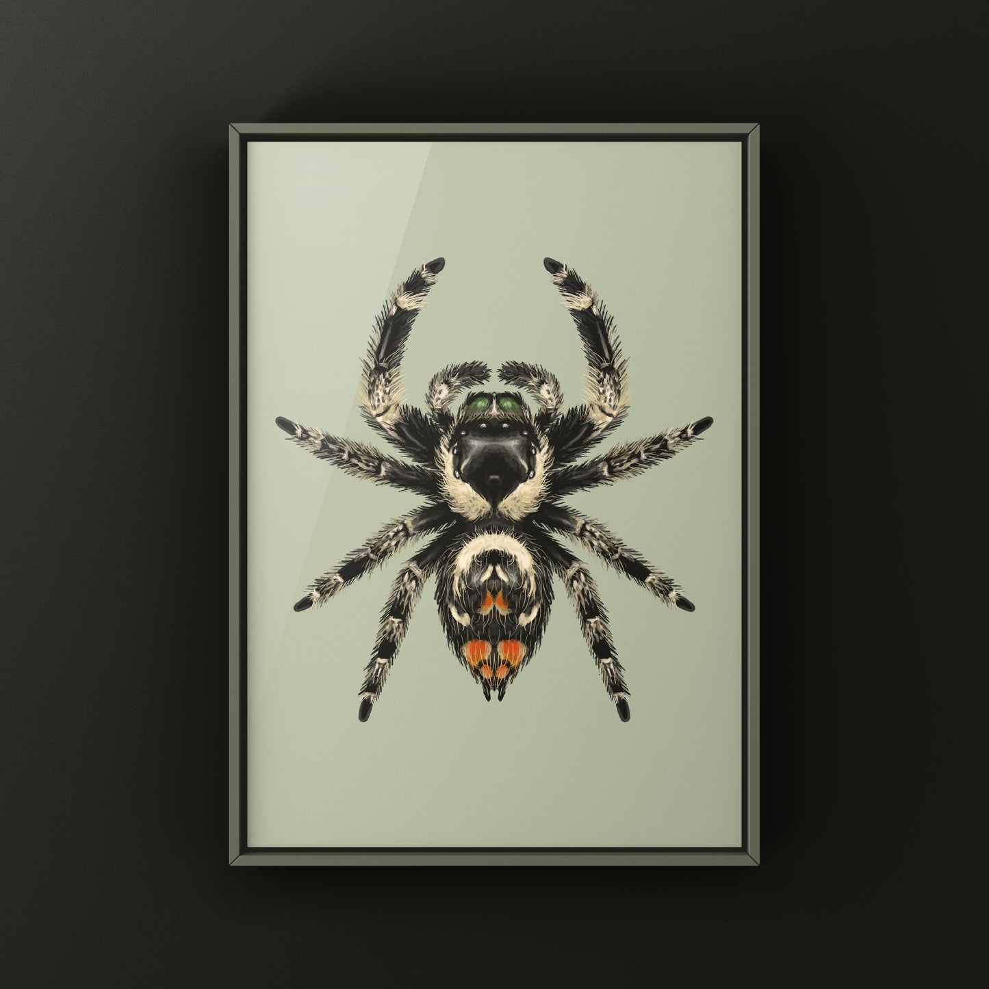 Canopy Jumping Spider Art Print (Phidippus otiosus)