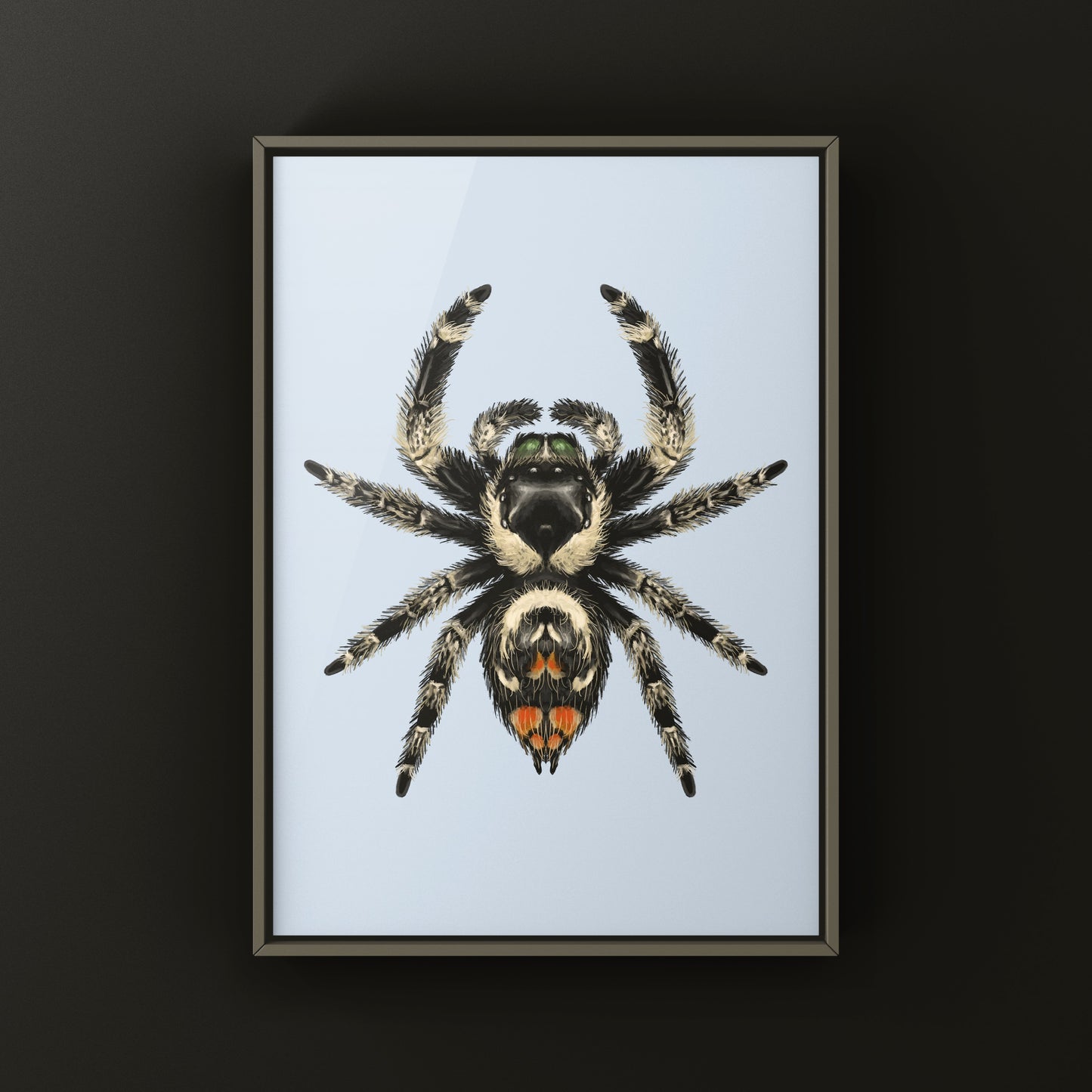 Canopy Jumping Spider Art Print (Phidippus otiosus)