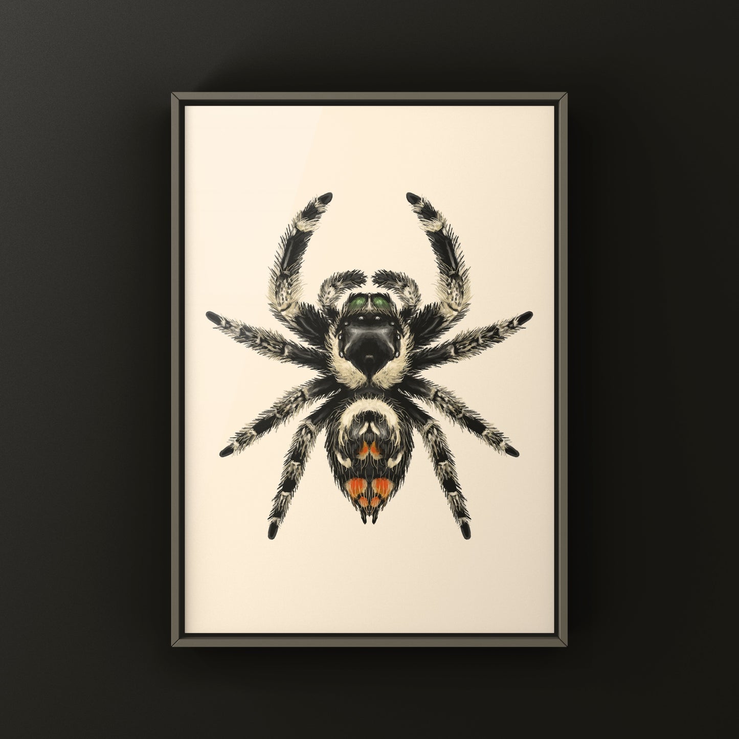 Canopy Jumping Spider Art Print (Phidippus otiosus)