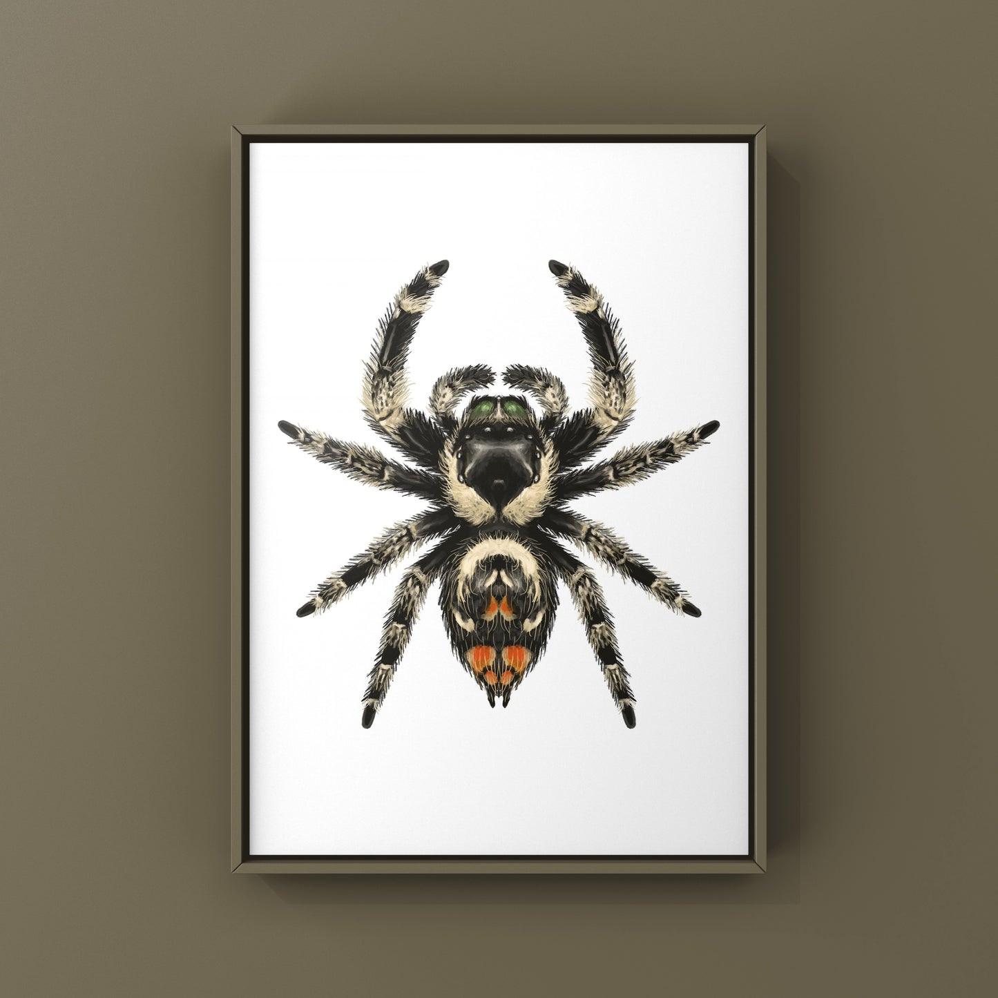 Canopy Jumping Spider Art Print (Phidippus otiosus)