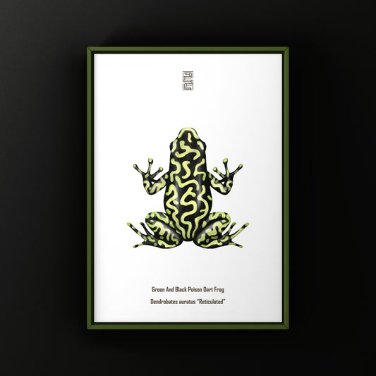 Reticulated Green And Black Poison Dart Frog Art Print (Dendrobates auratus)