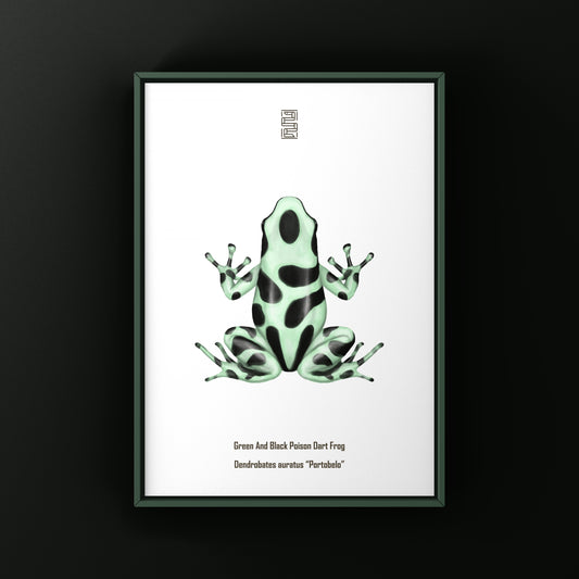 Portobelo Green And Black Poison Dart Frog Art Print (Dendrobates auratus)
