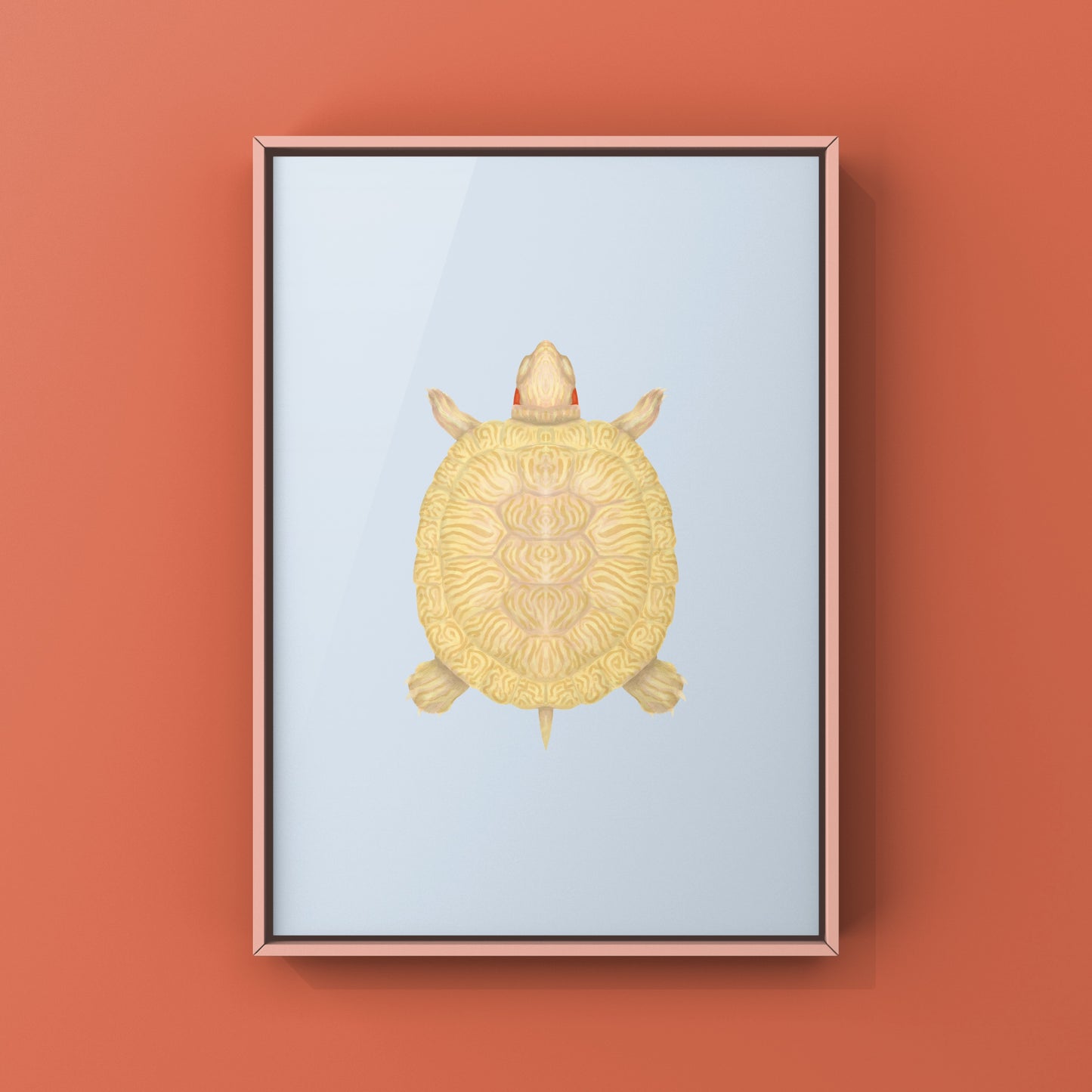 Albino Red-eared Slider Art Print (Trachemys scripta elegans)