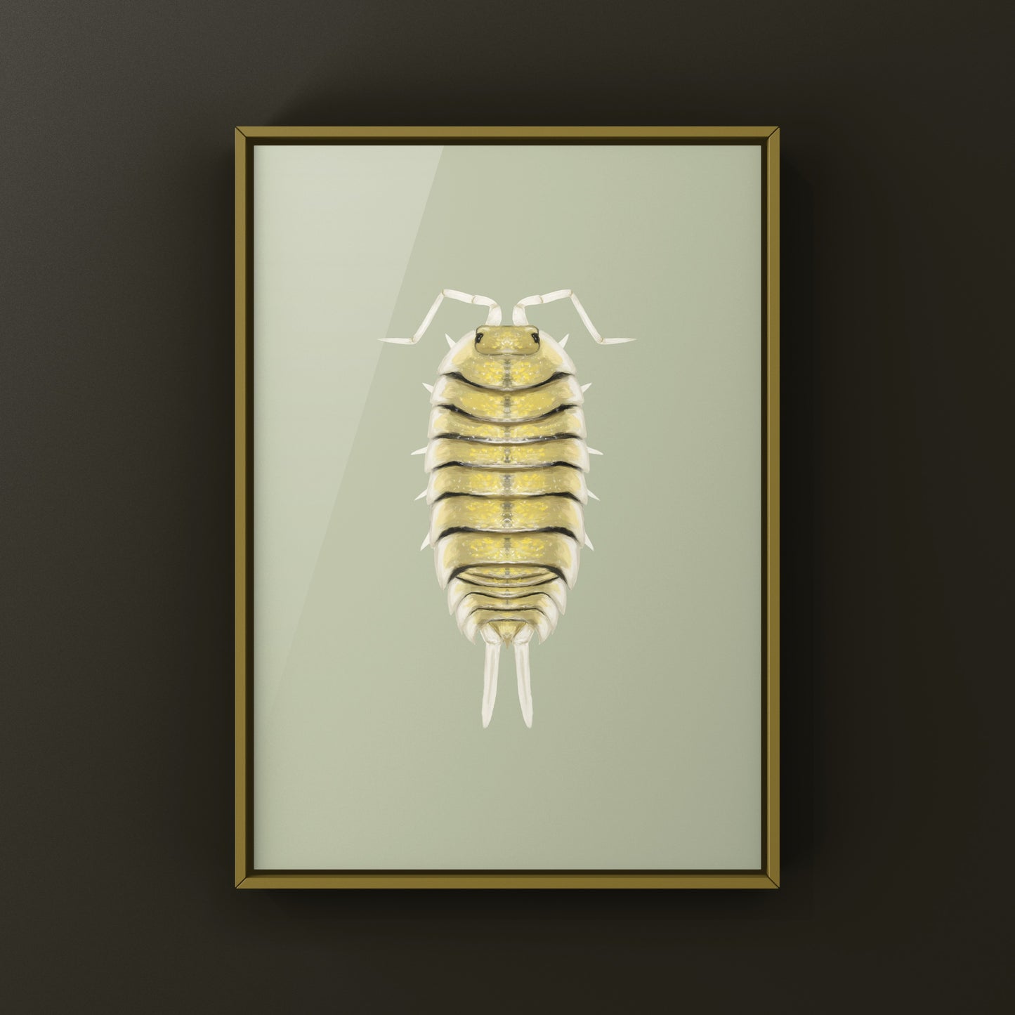 Skeleton Isopod Art Print (Porcellio bolivari)