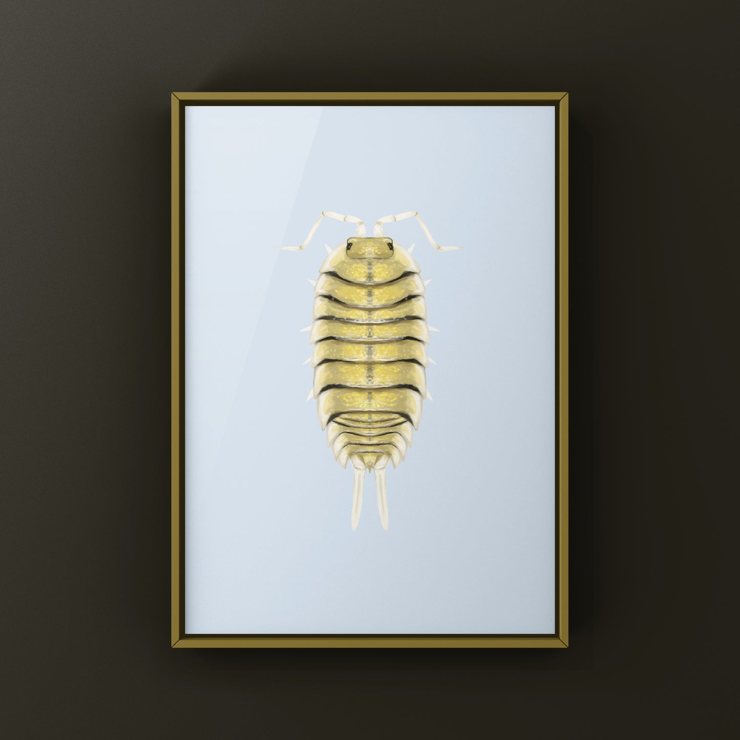 Skeleton Isopod Art Print (Porcellio bolivari)