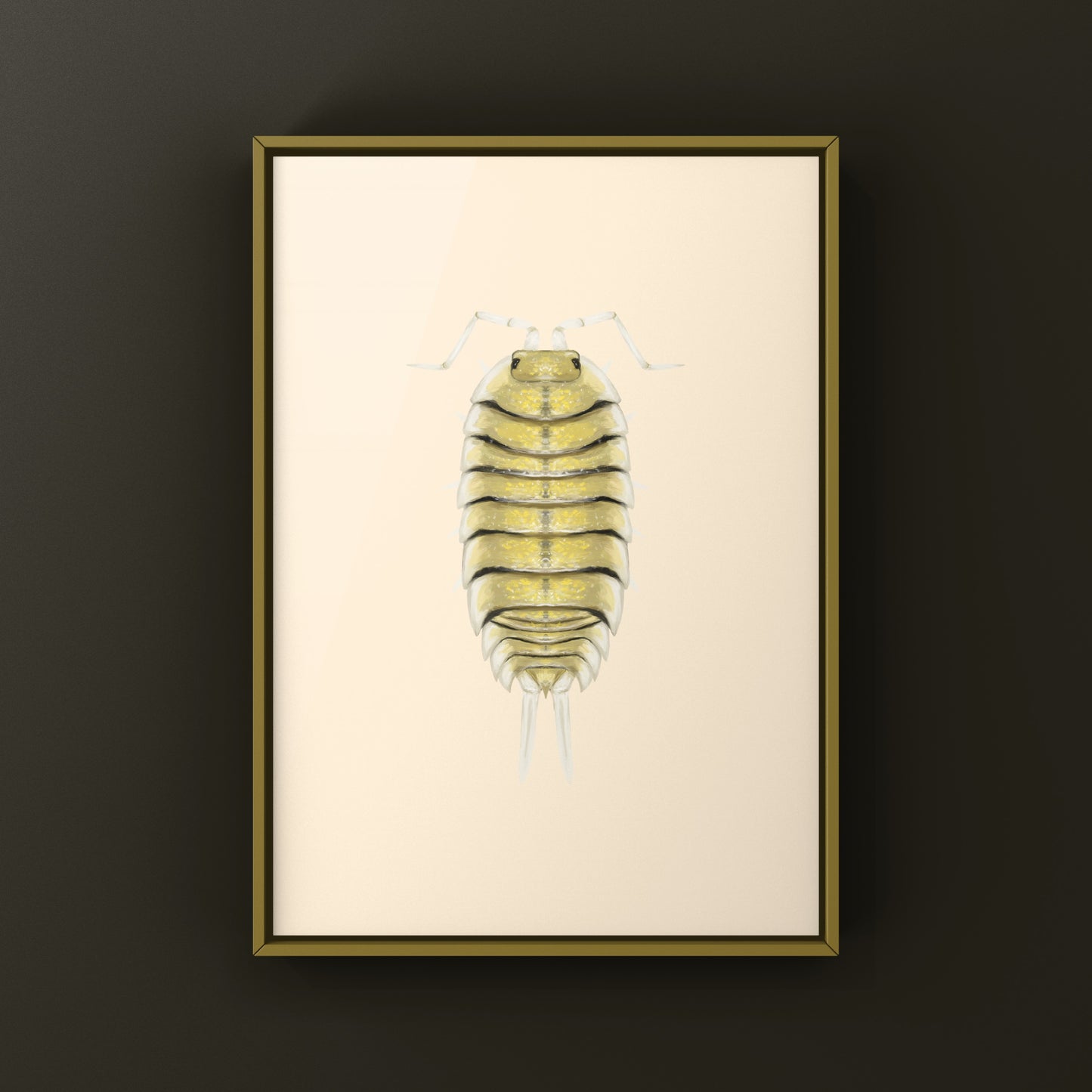 Skeleton Isopod Art Print (Porcellio bolivari)