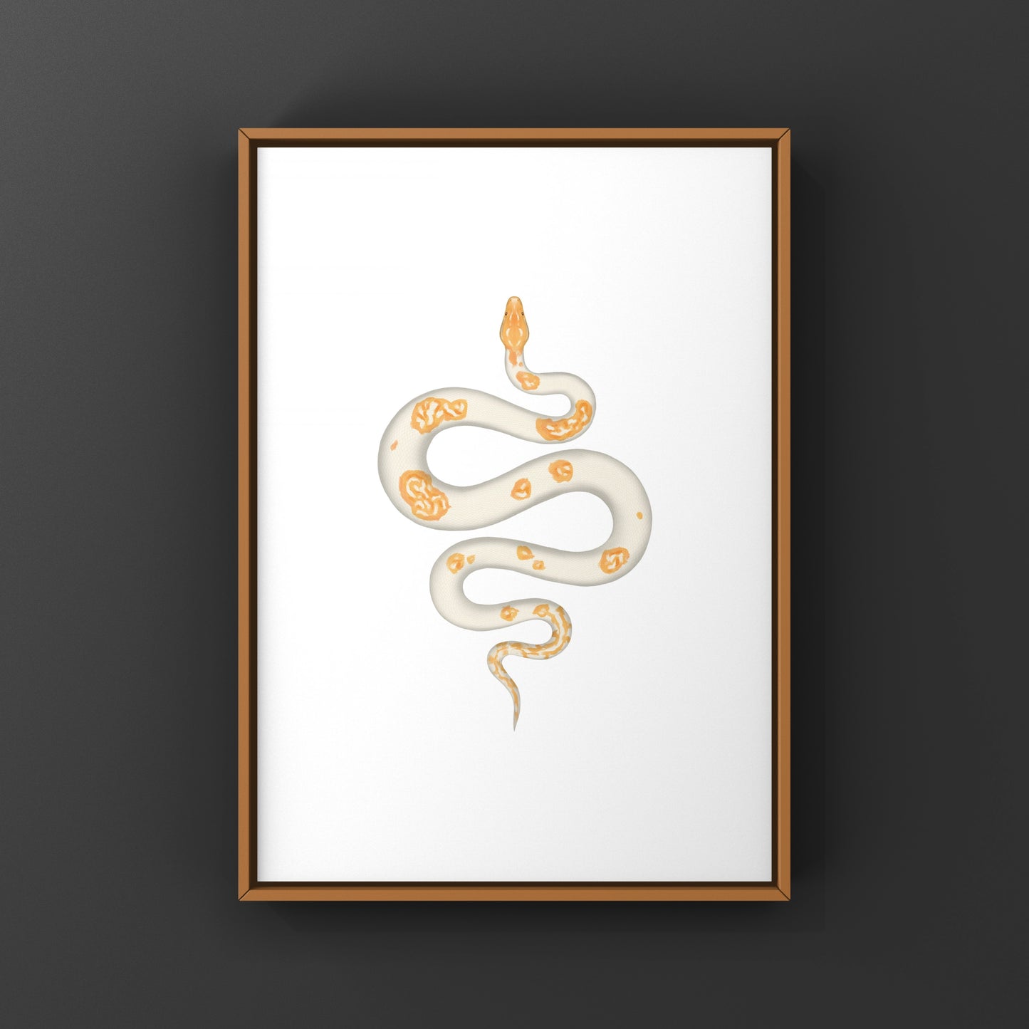 Albino Pied Burmese Python Art Print (Python bivittatus)