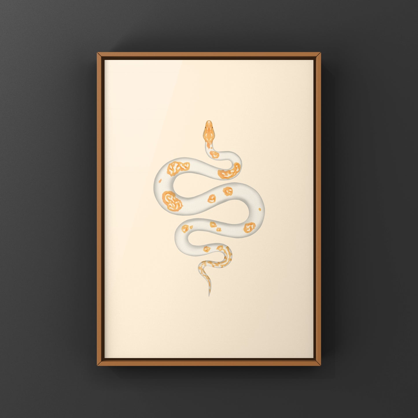 Albino Pied Burmese Python Art Print (Python bivittatus)