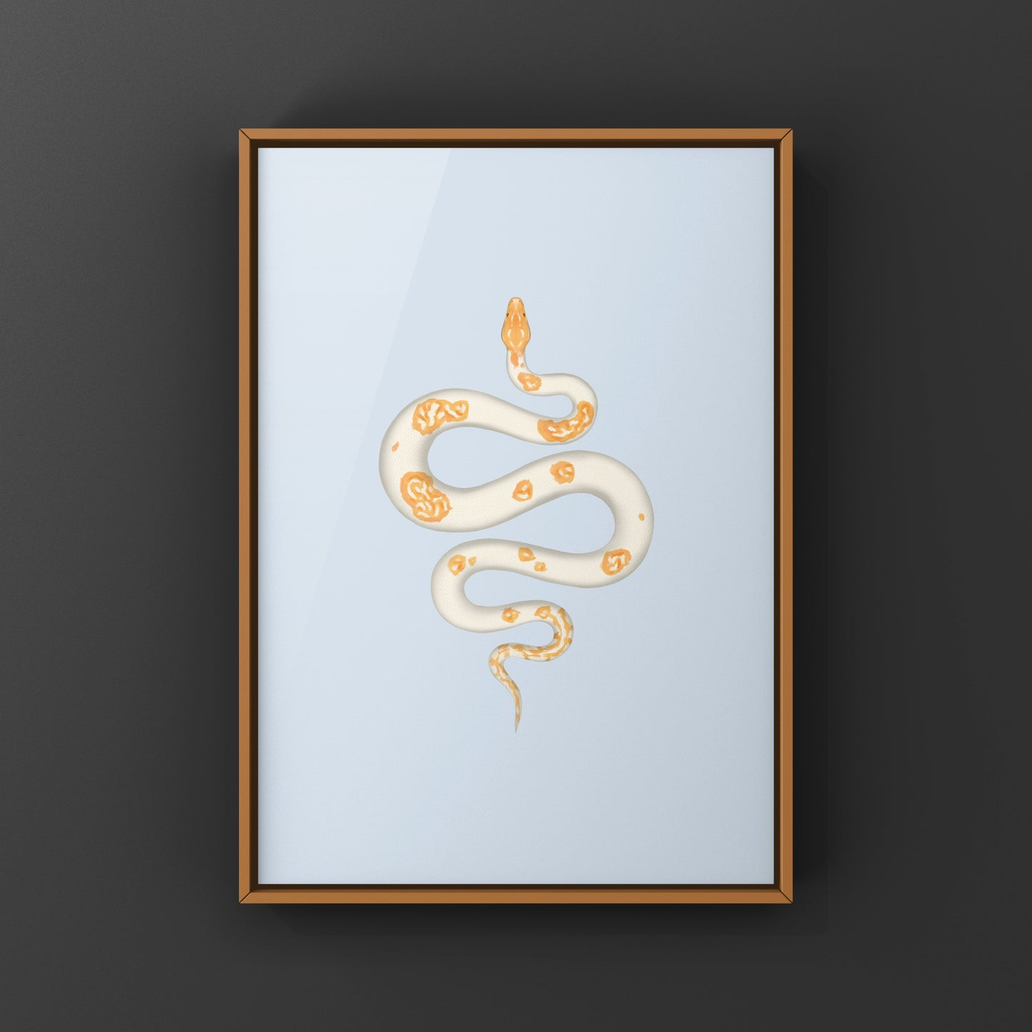 Albino Pied Burmese Python Art Print (Python bivittatus)