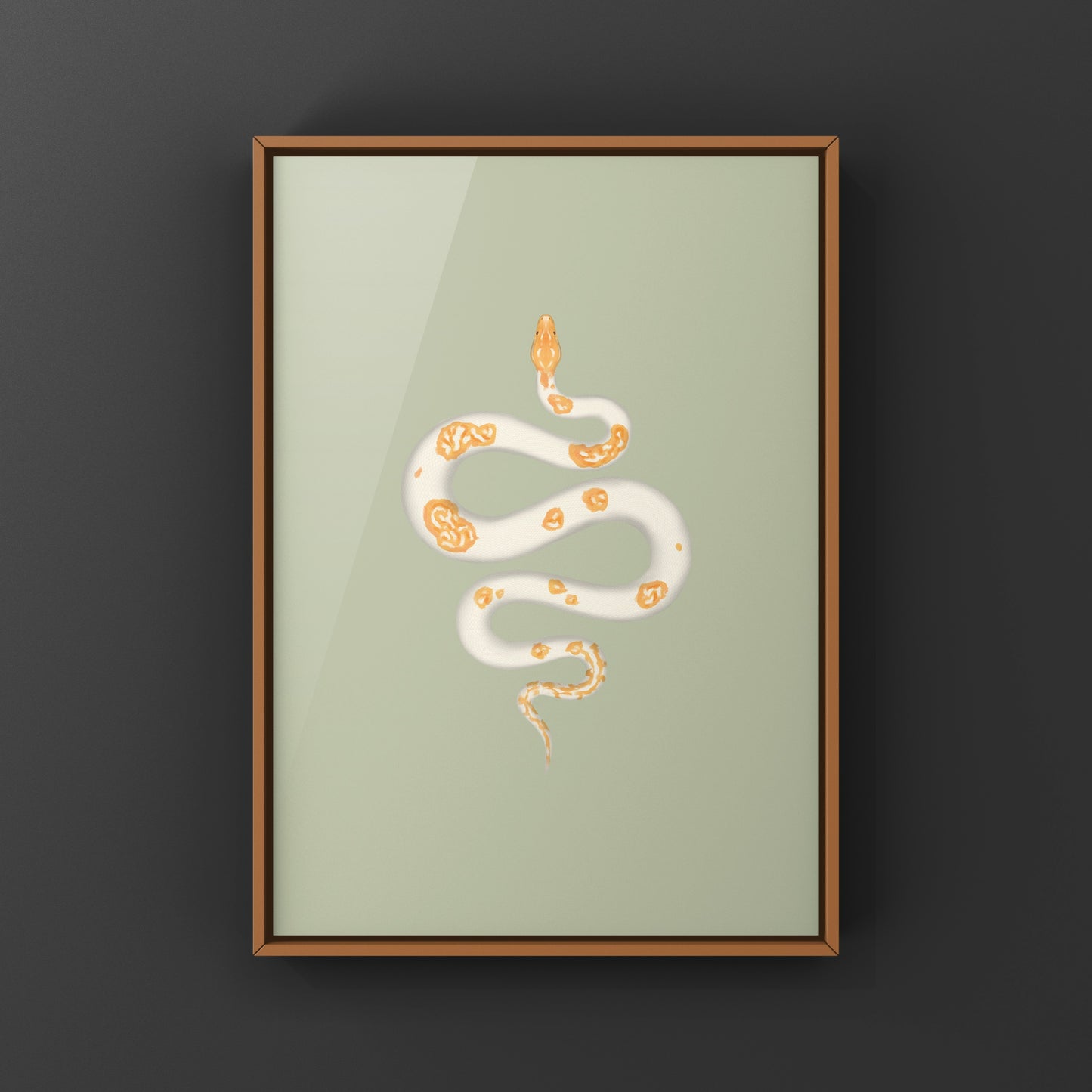 Albino Pied Burmese Python Art Print (Python bivittatus)