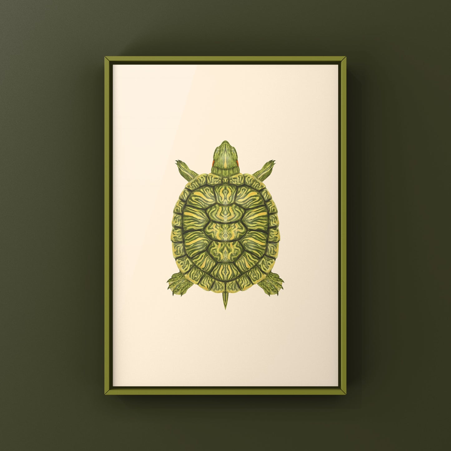 Red-eared Slider Art Print (Trachemys scripta elegans)