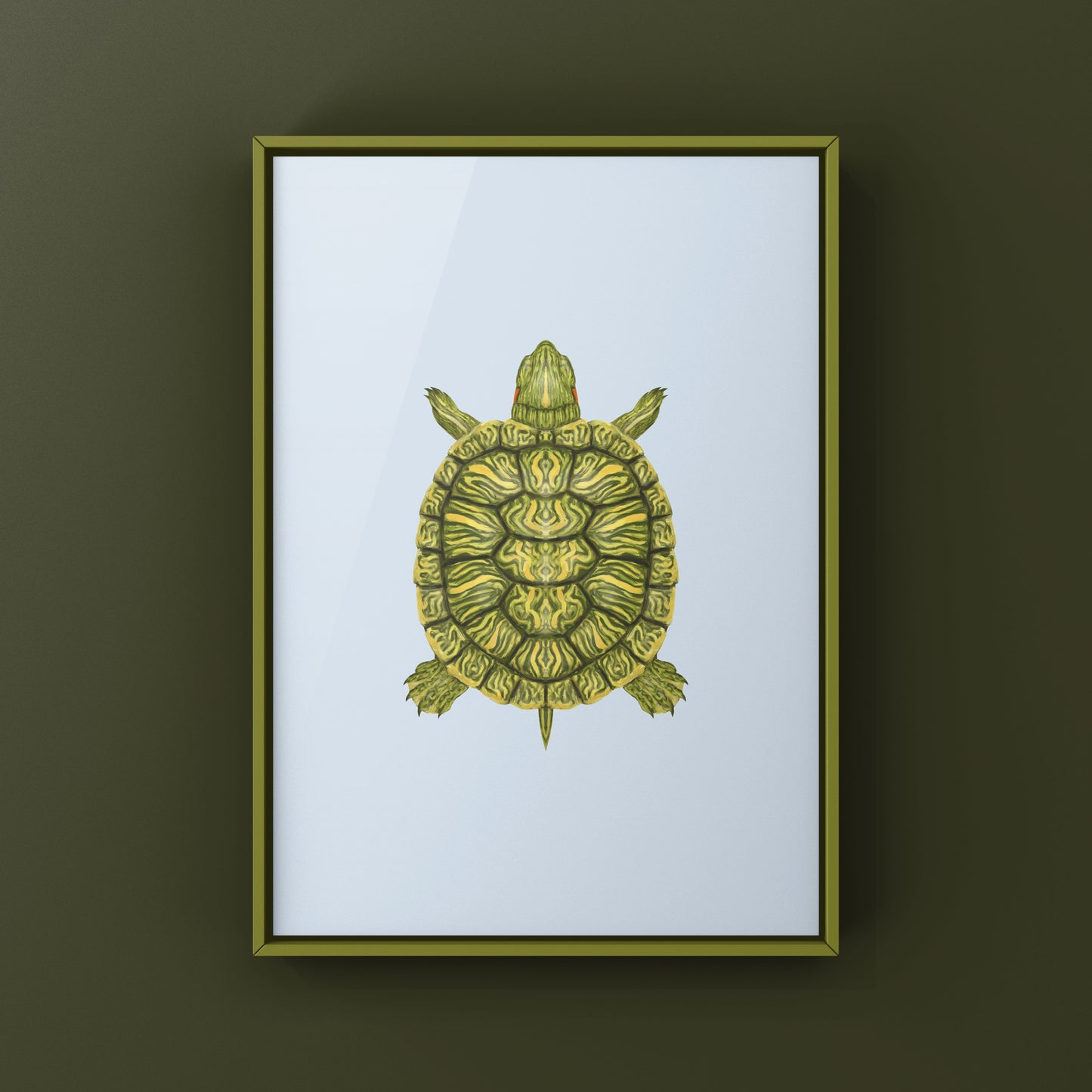 Red-eared Slider Art Print (Trachemys scripta elegans)