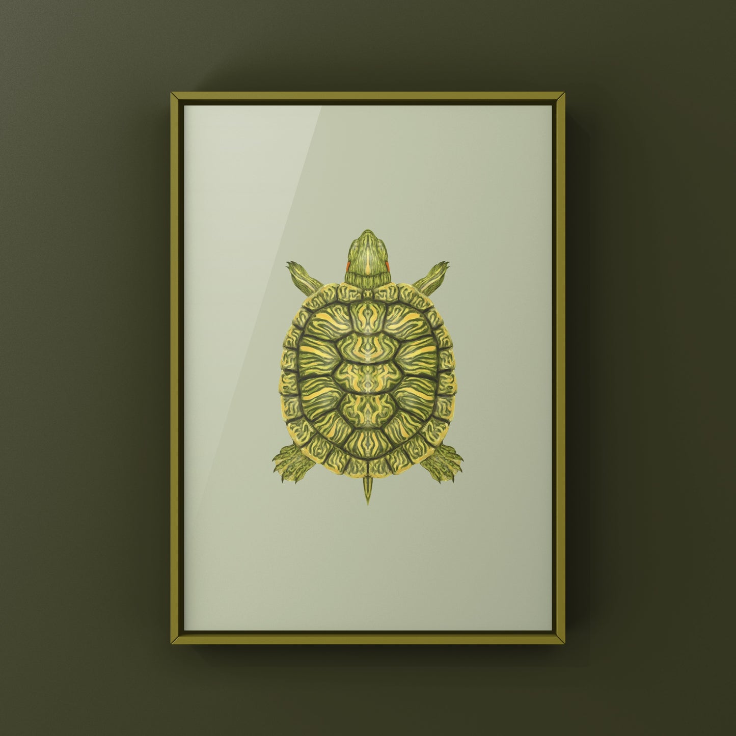 Red-eared Slider Art Print (Trachemys scripta elegans)