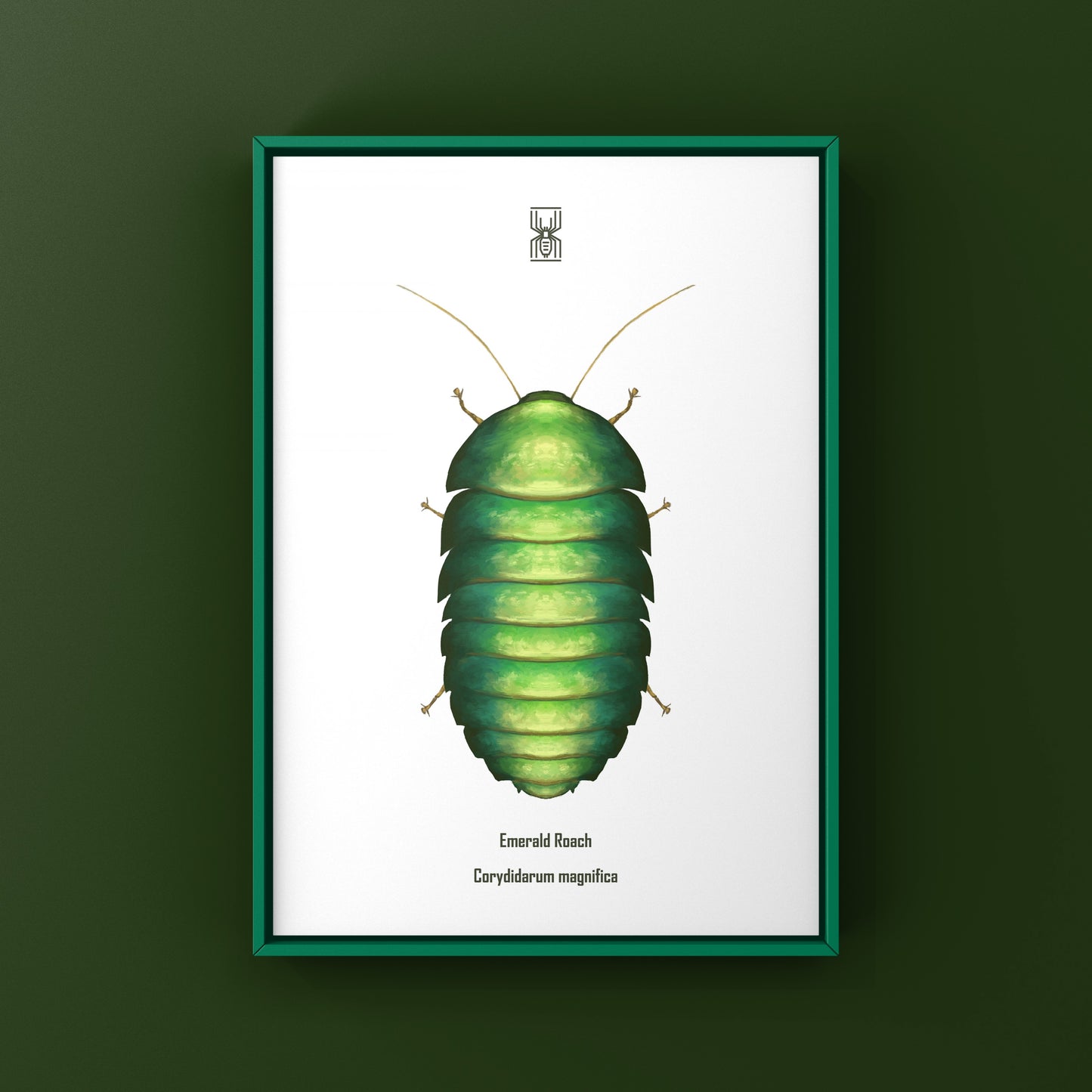 Emerald Roach (Corydidarum magnifica) Photographic Art Print from The Silk Ranch