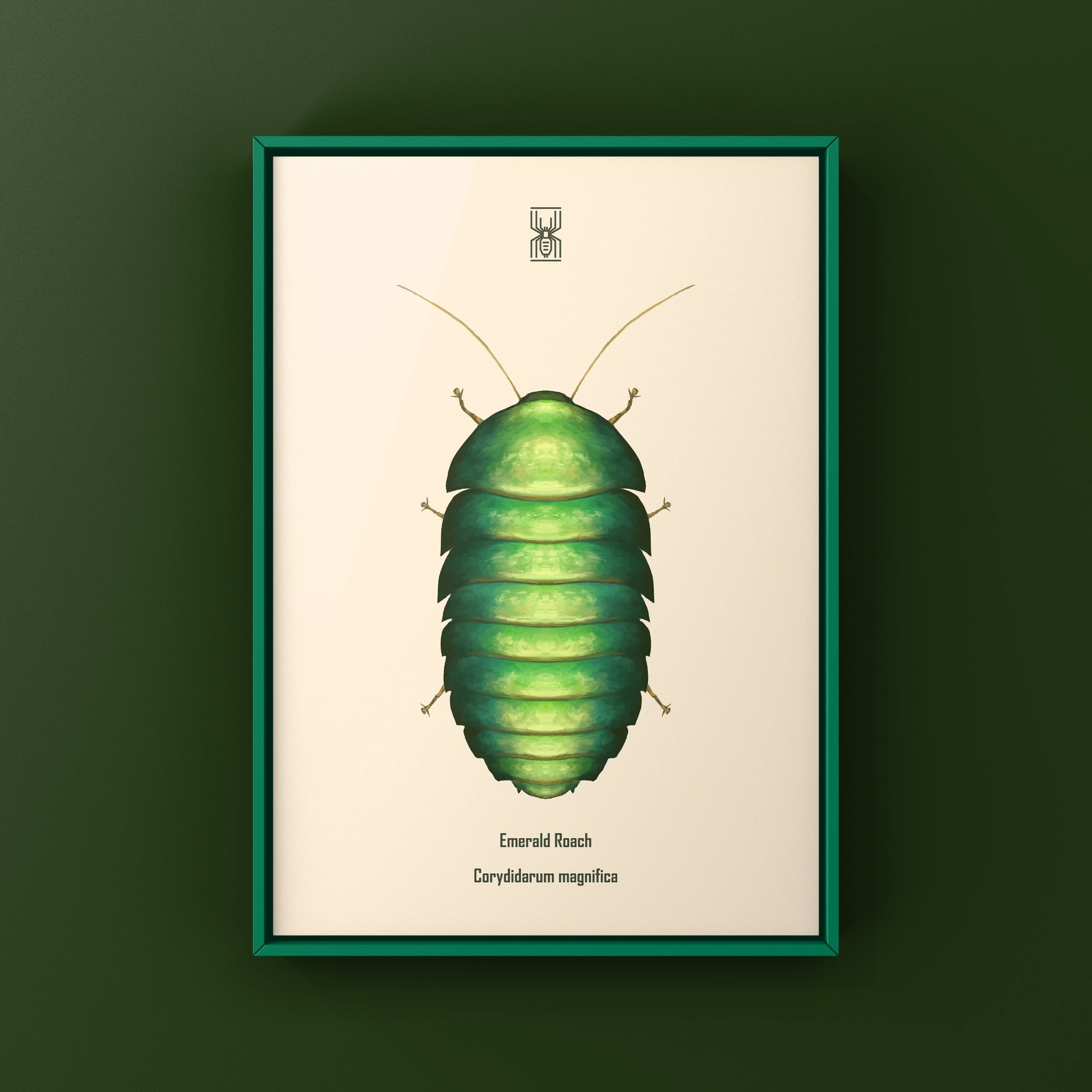 Emerald Roach (Corydidarum magnifica) Photographic Art Print from The Silk Ranch