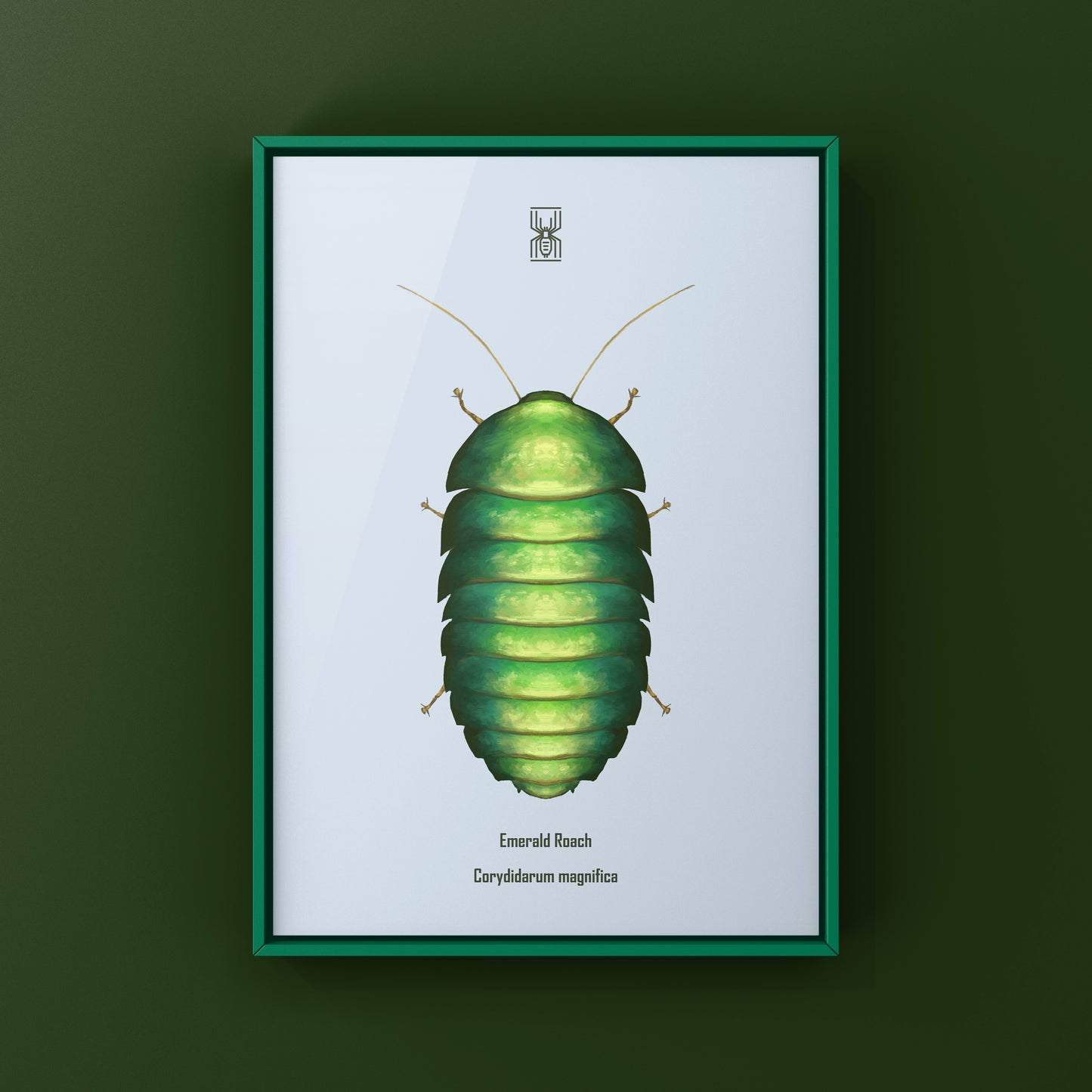 Emerald Roach (Corydidarum magnifica) Photographic Art Print from The Silk Ranch