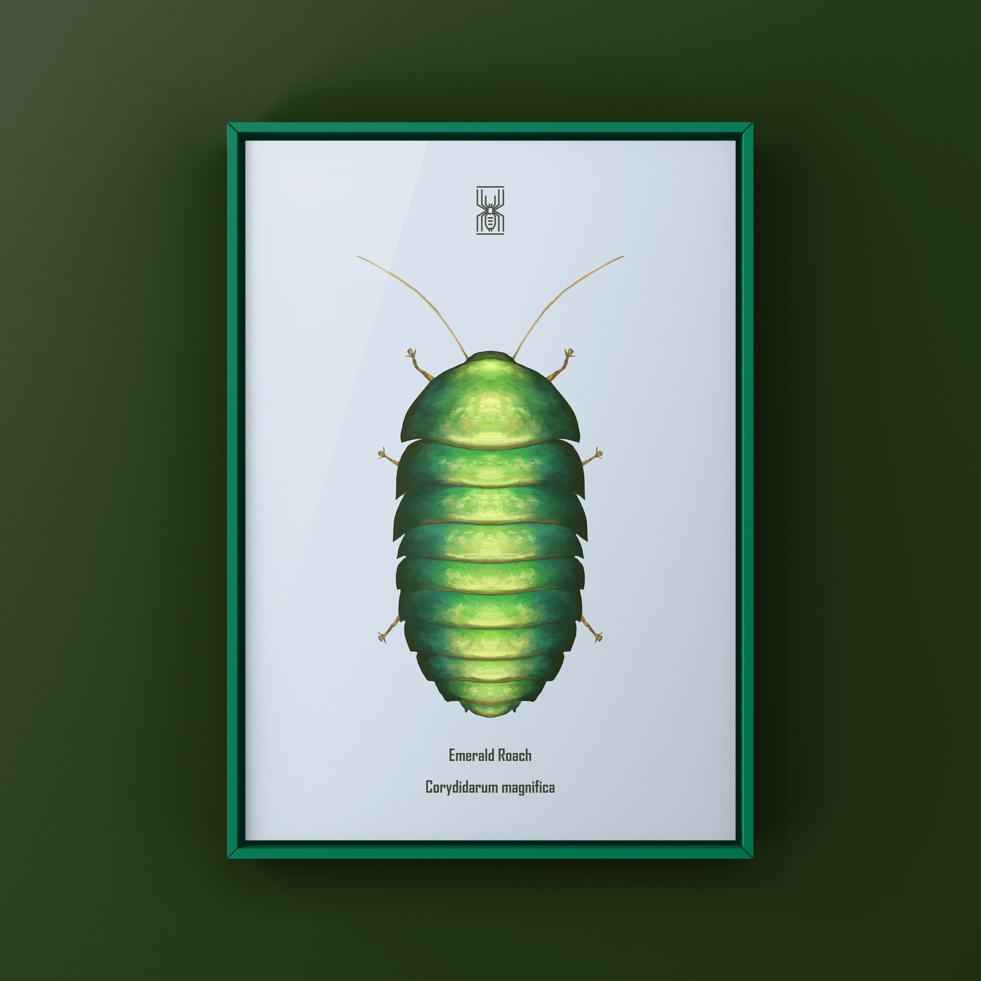 Emerald Roach (Corydidarum magnifica) Photographic Art Print from The Silk Ranch