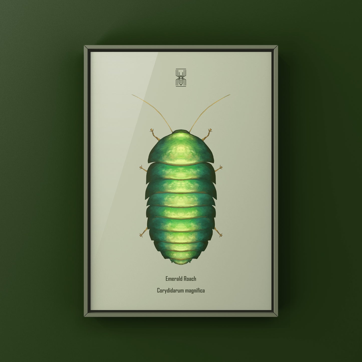 Emerald Roach (Corydidarum magnifica) Photographic Art Print from The Silk Ranch