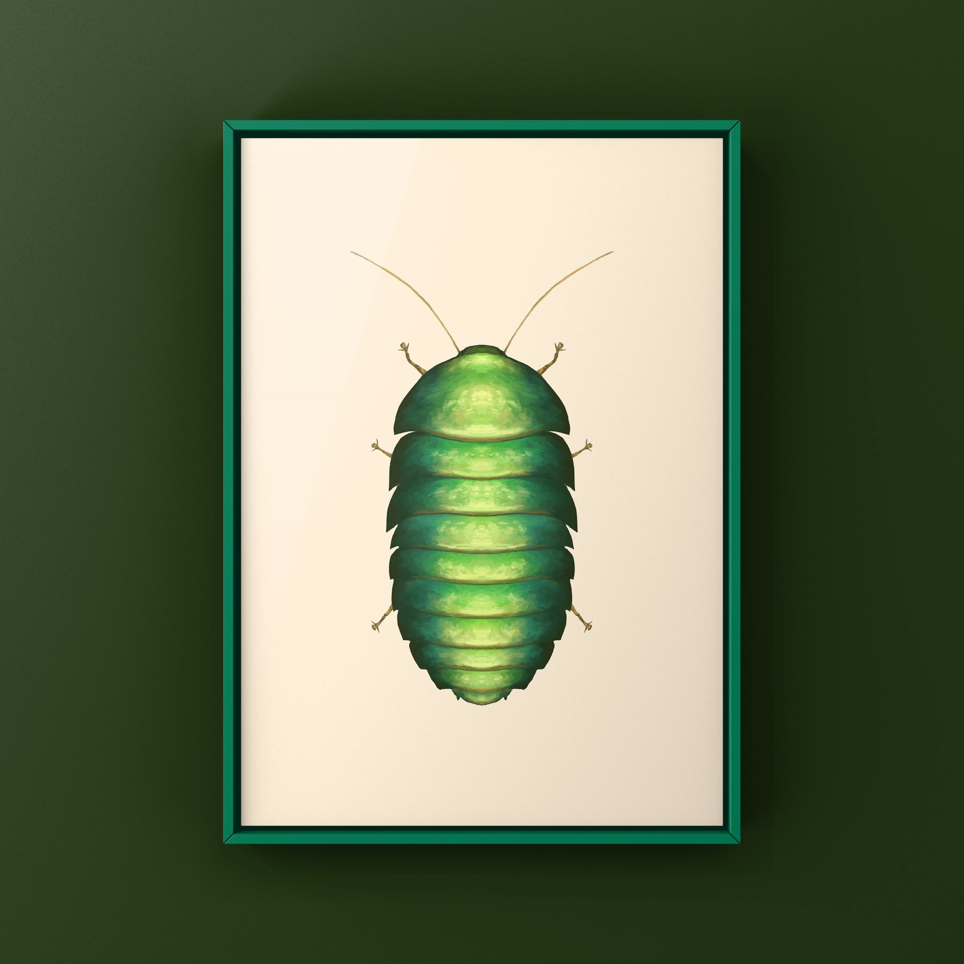 Emerald Roach (Corydidarum magnifica) Photographic Art Print from The Silk Ranch