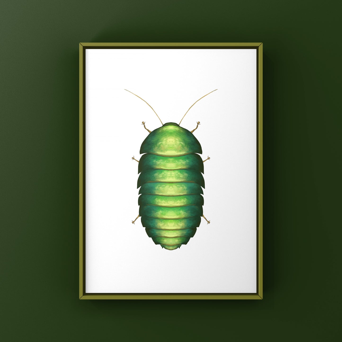Emerald Roach (Corydidarum magnifica) Photographic Art Print from The Silk Ranch