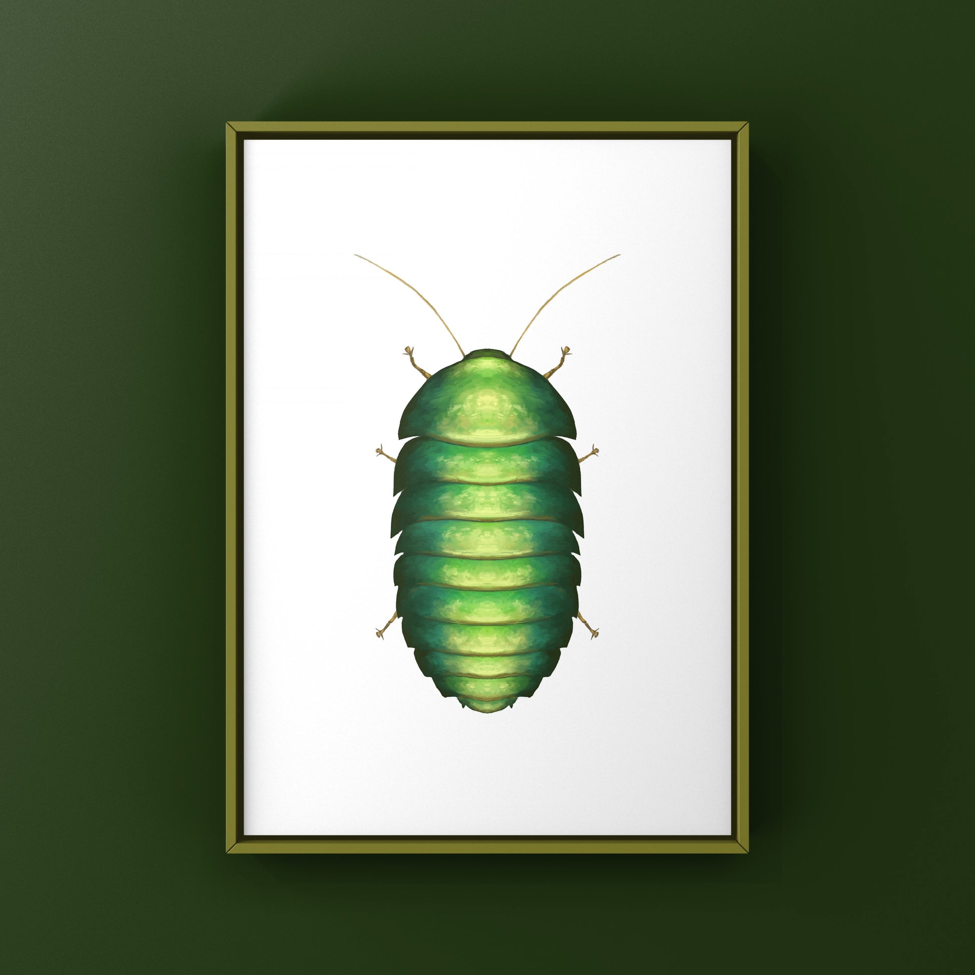 Emerald Roach (Corydidarum magnifica) Photographic Art Print from The Silk Ranch