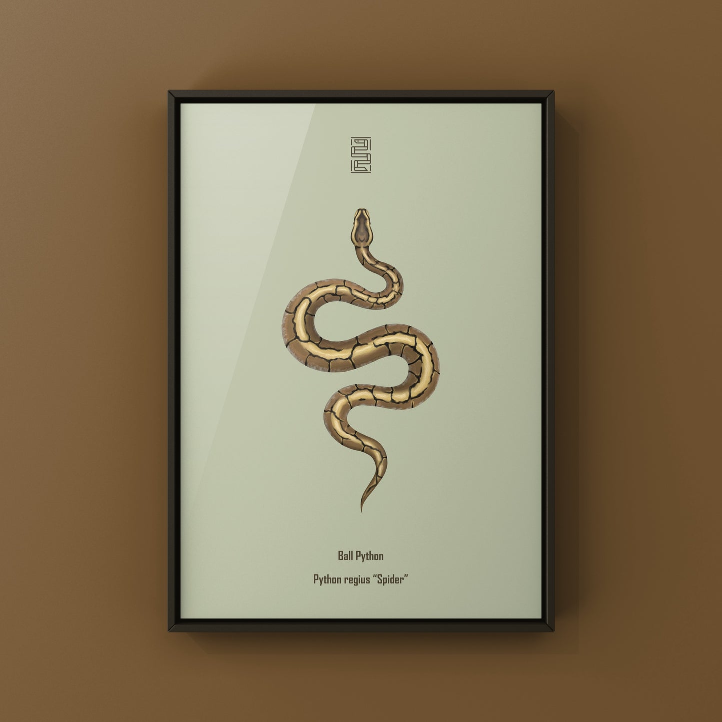 Spider Ball Python Art Print from The Silk Ranch