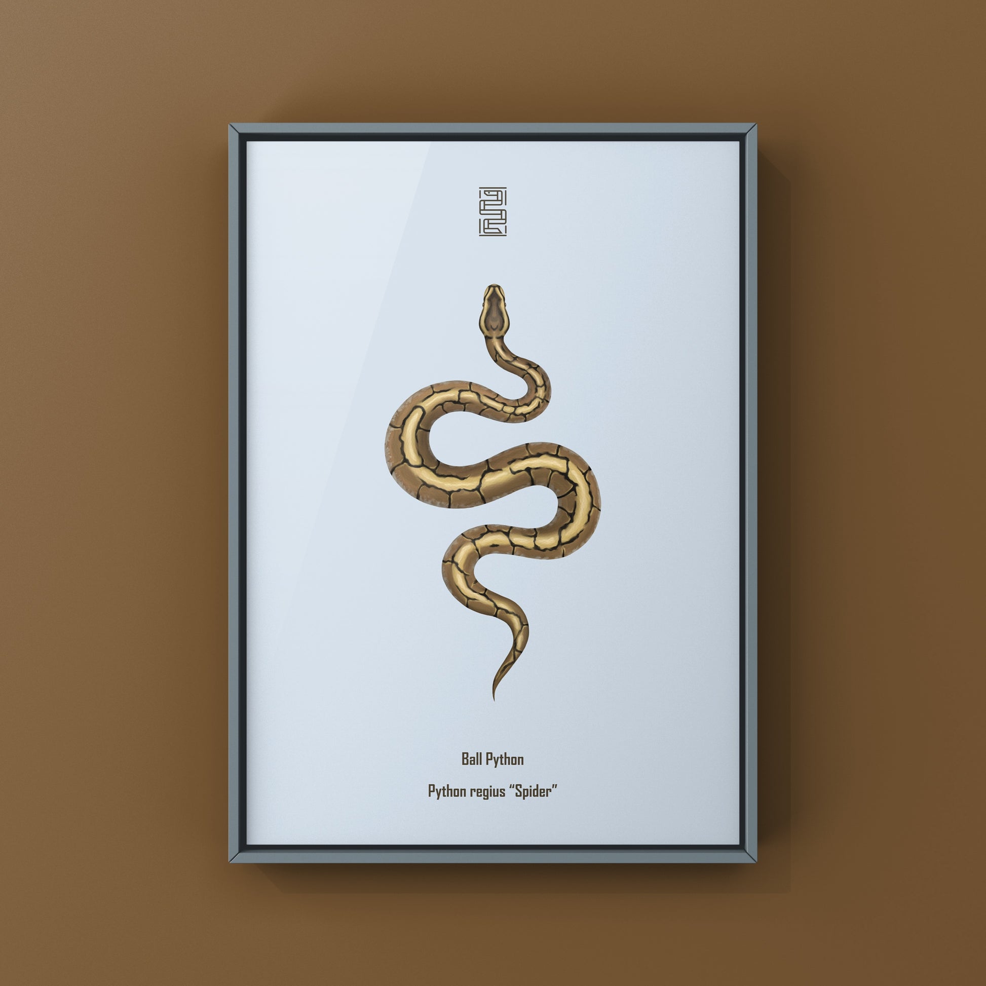 Spider Ball Python Art Print from The Silk Ranch