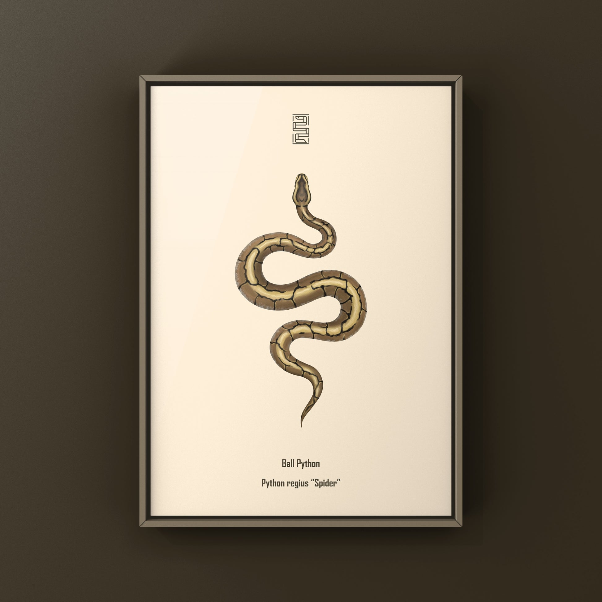 Spider Ball Python Art Print from The Silk Ranch