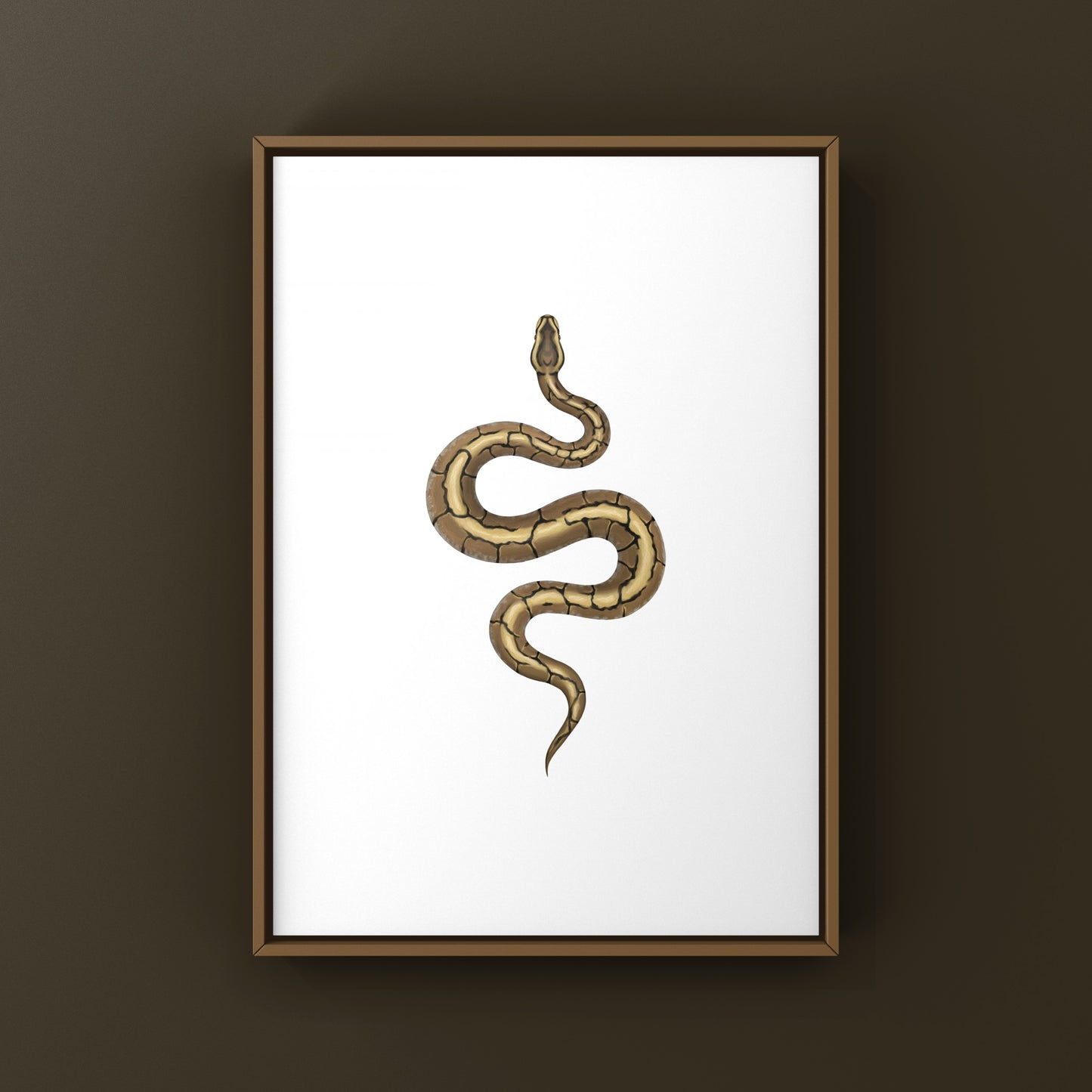 Spider Ball Python Art Print from The Silk Ranch