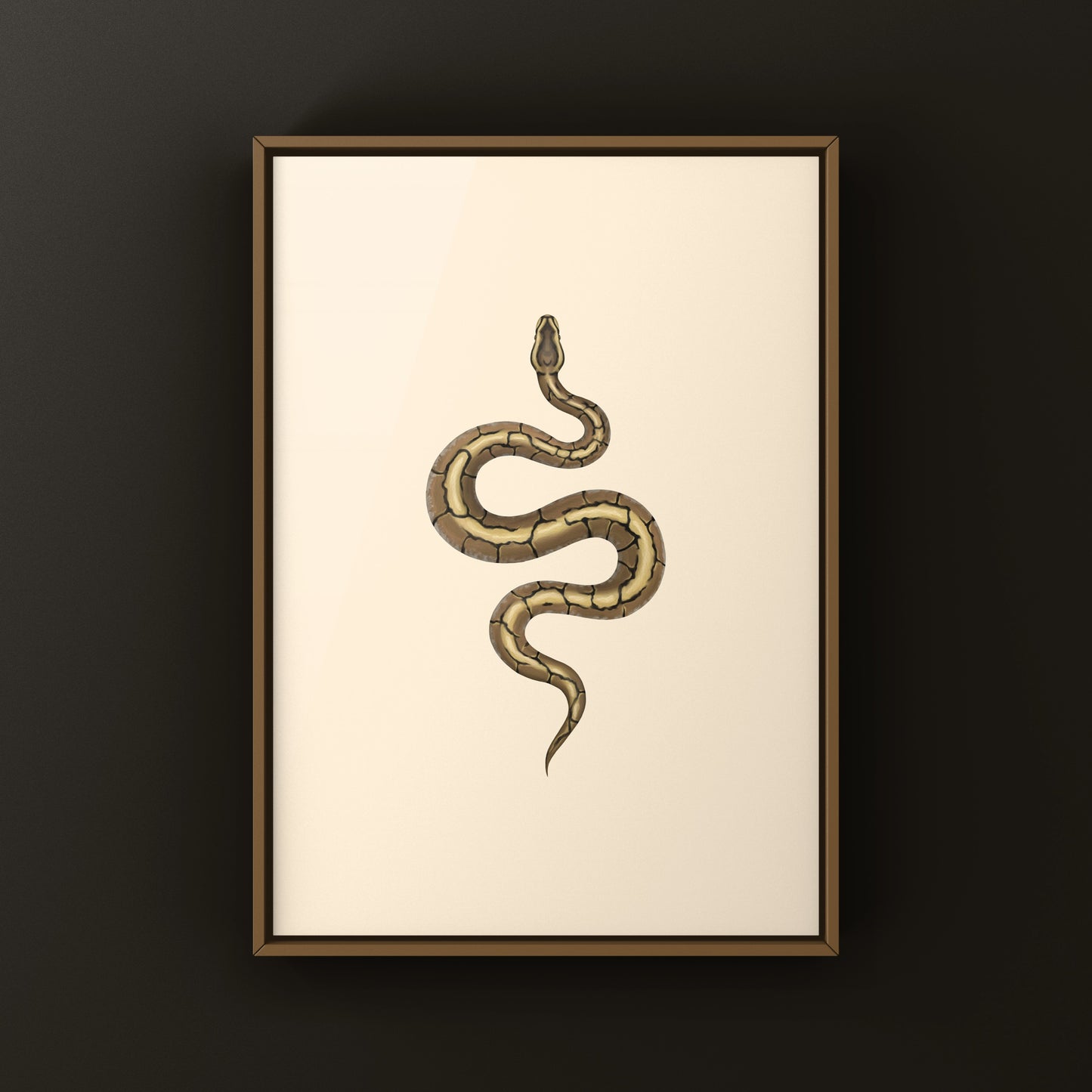 Spider Ball Python Art Print from The Silk Ranch