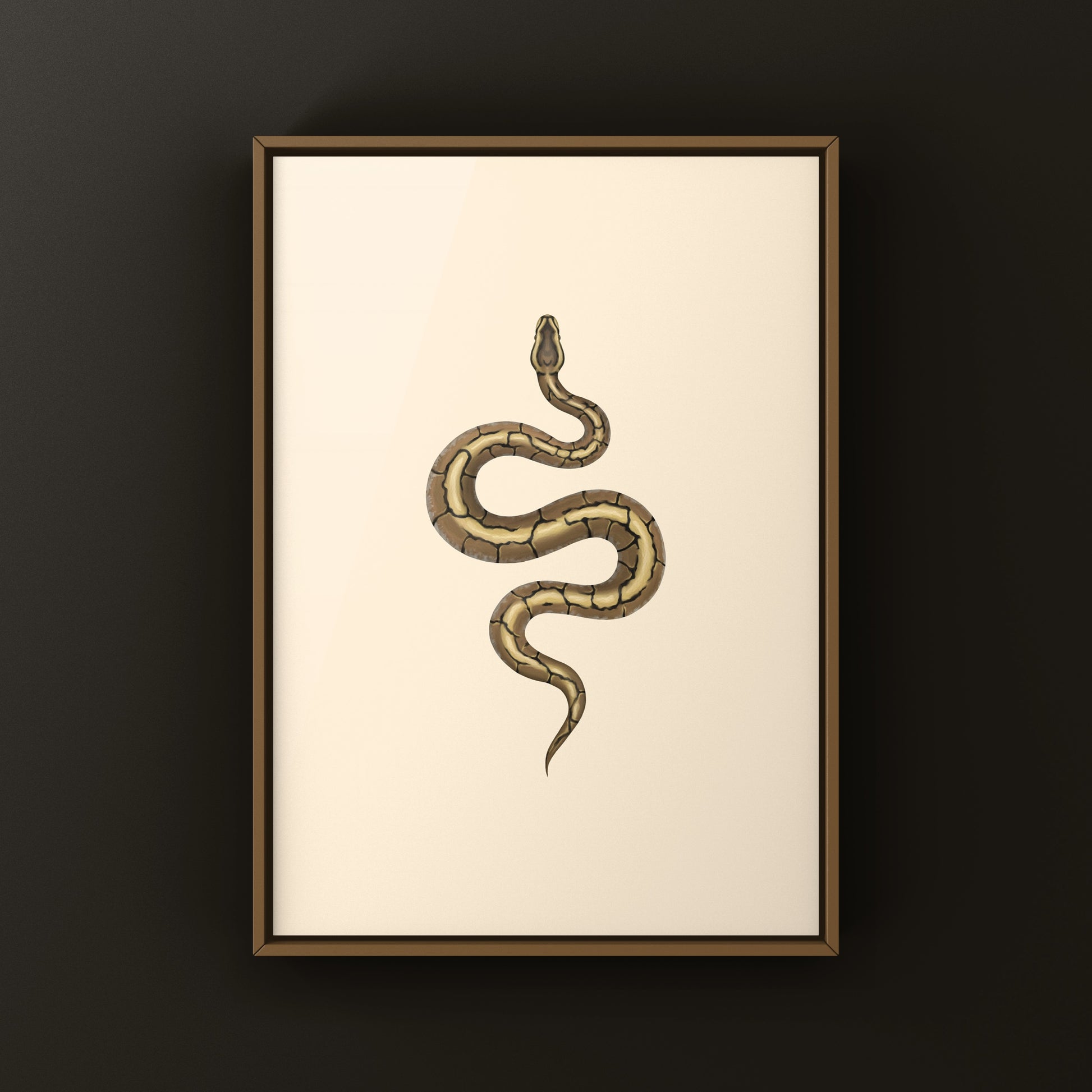 Spider Ball Python Art Print from The Silk Ranch