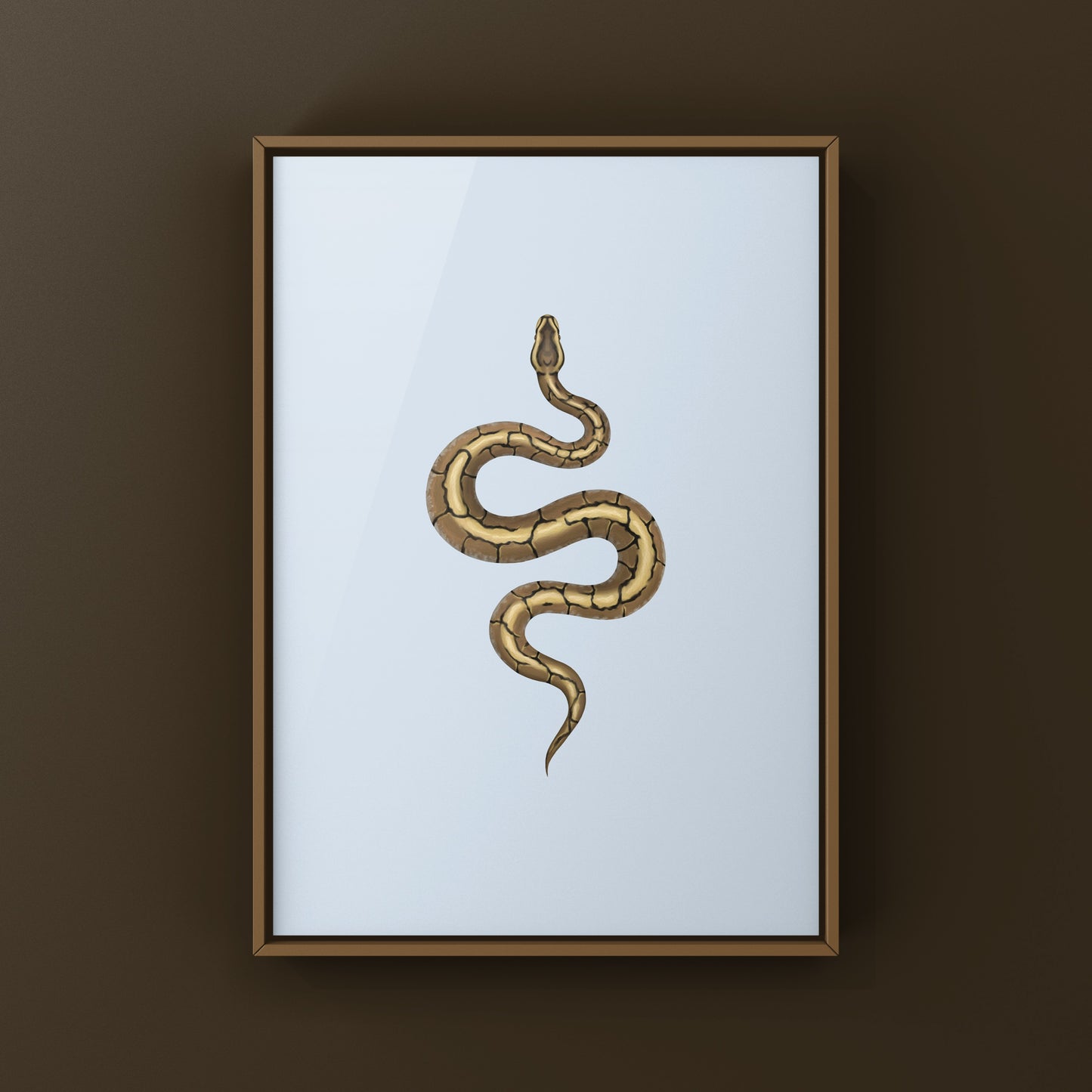 Spider Ball Python Art Print from The Silk Ranch