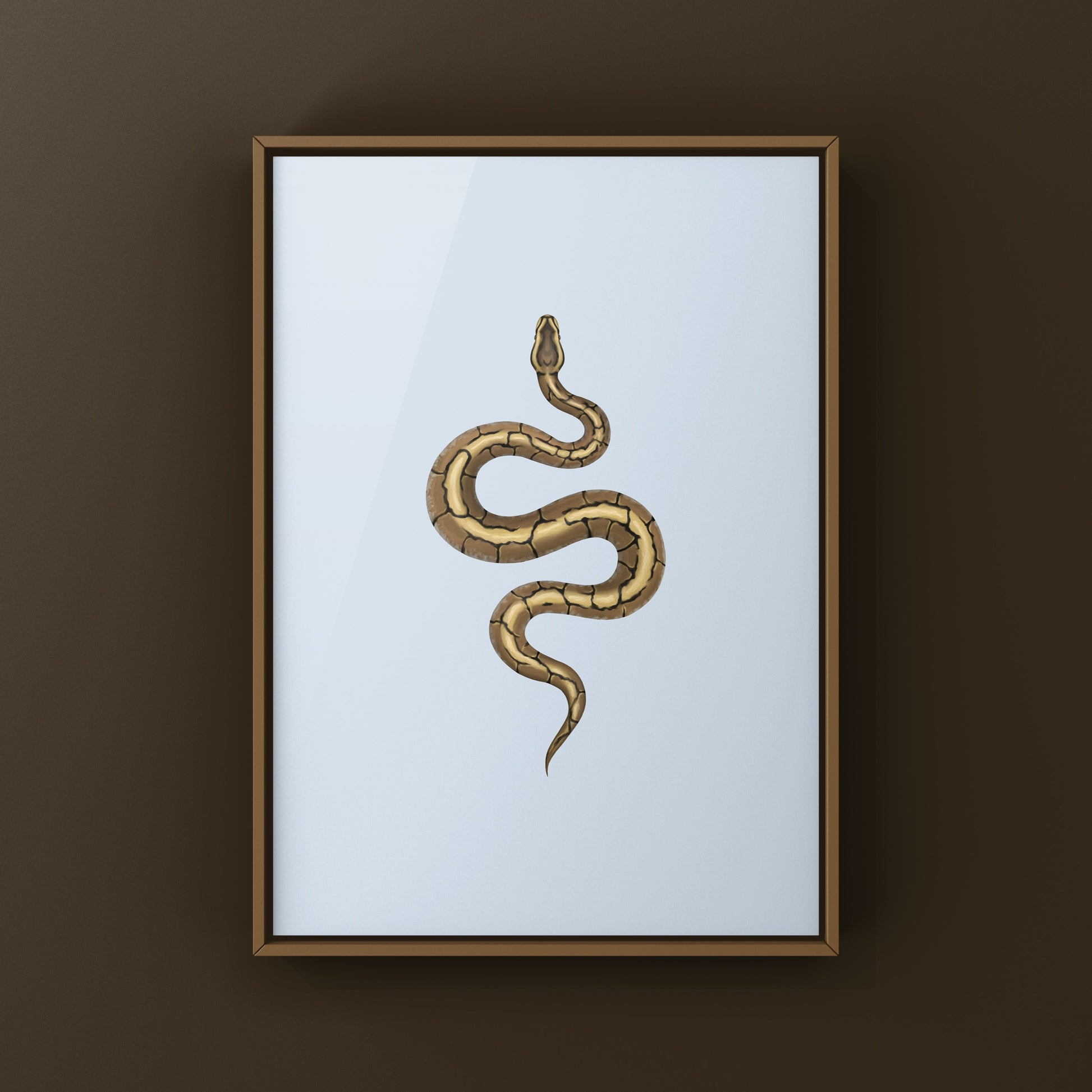 Spider Ball Python Art Print from The Silk Ranch