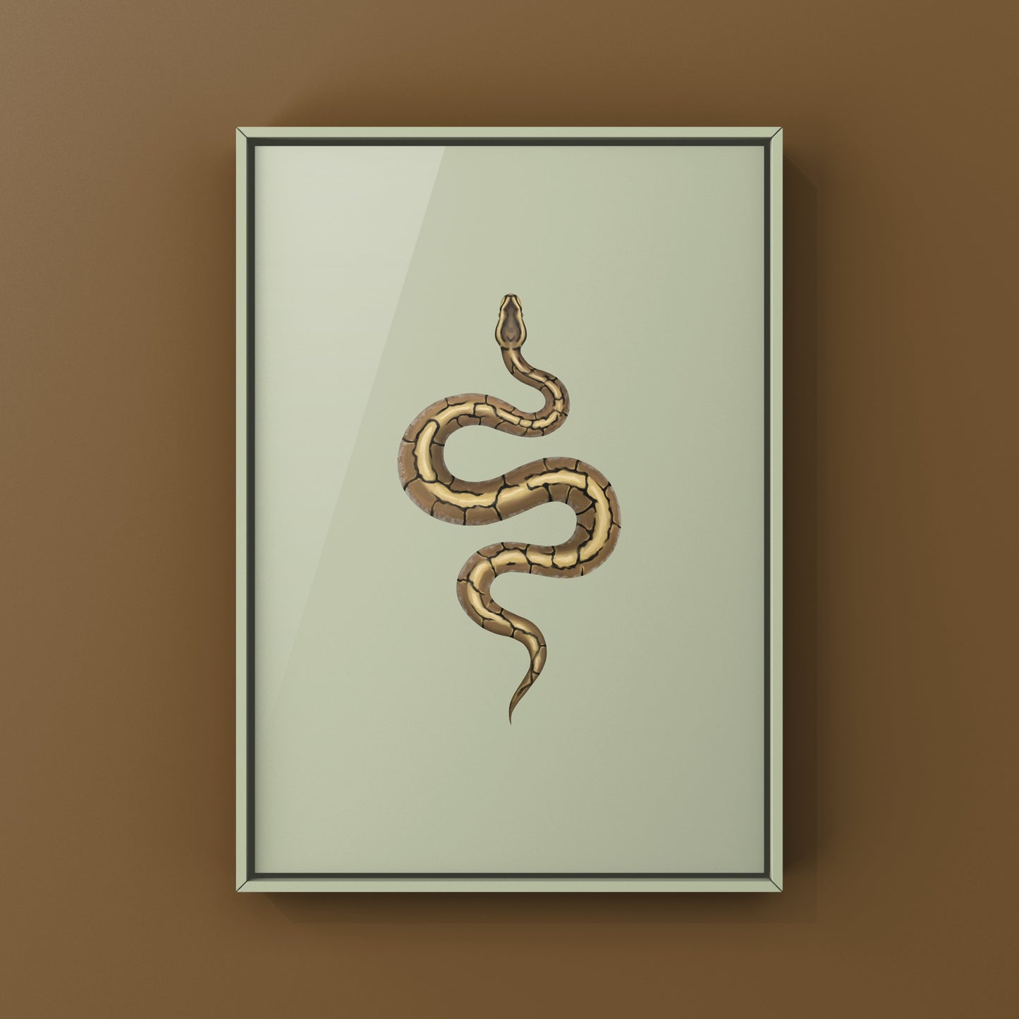 Spider Ball Python Art Print from The Silk Ranch